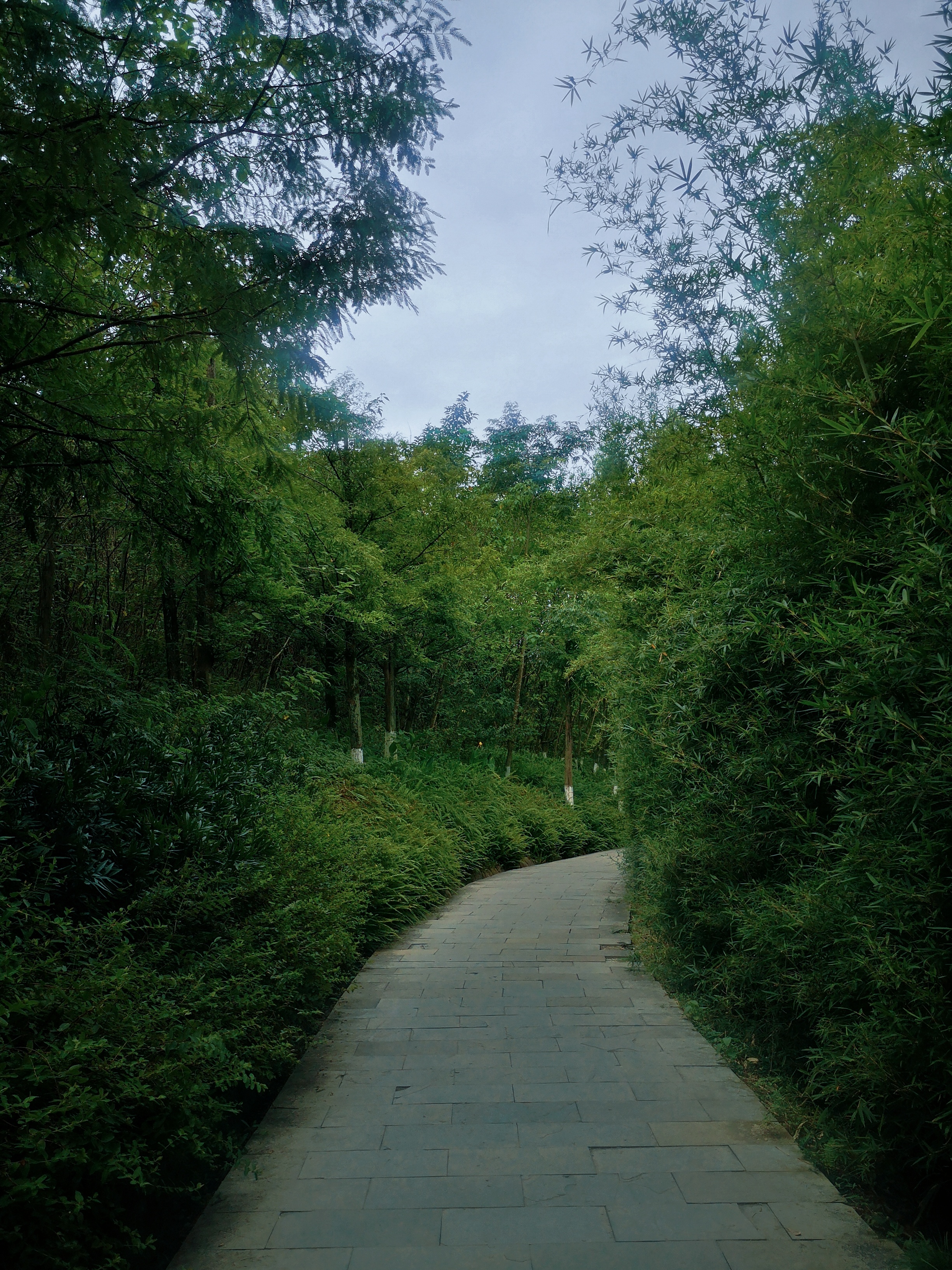 在重庆城市中寻一片宁静——九曲河湿地公园