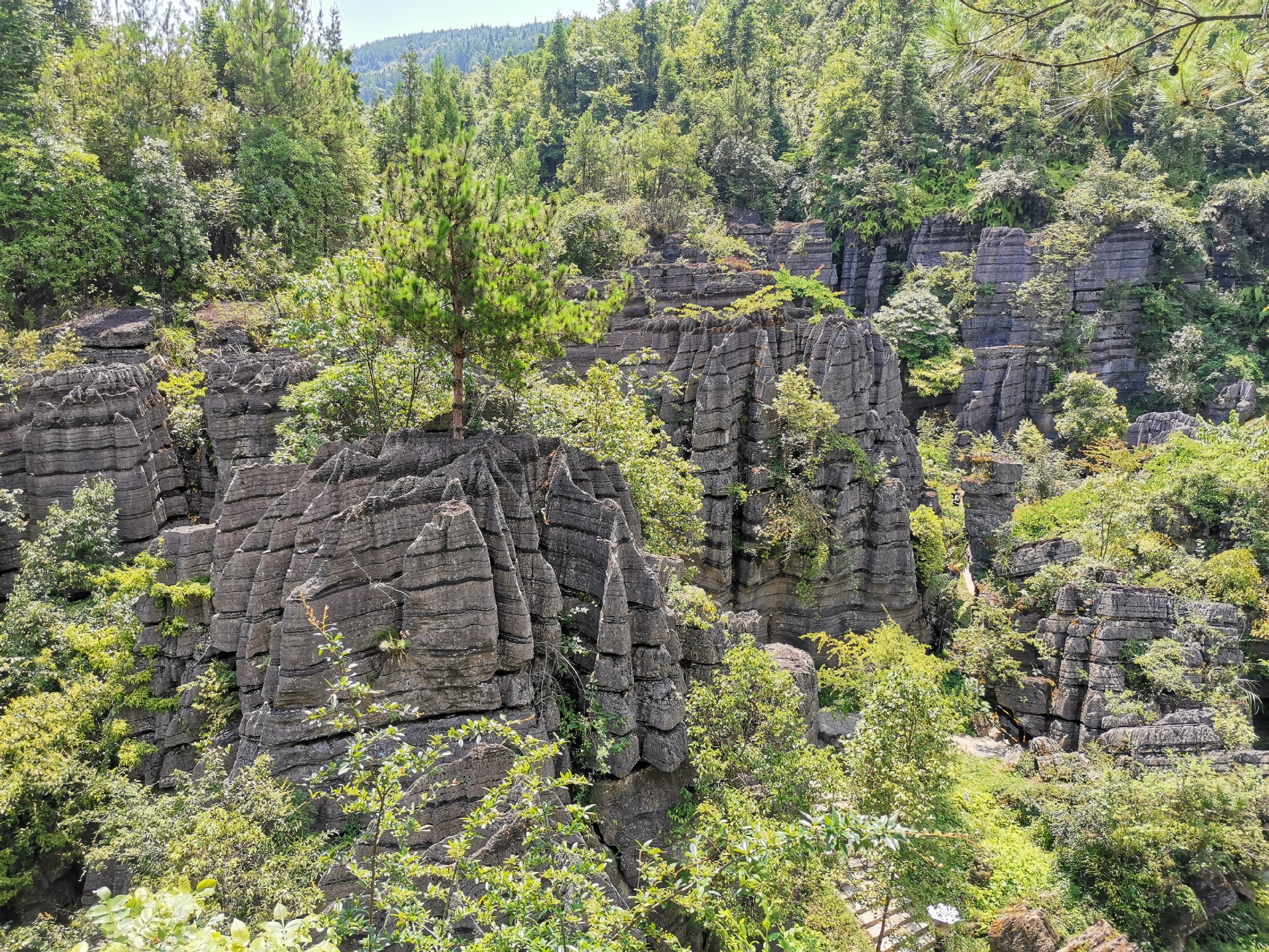 恩施梭布垭石林-梭布垭石林被称为世界第一奥陶纪石林