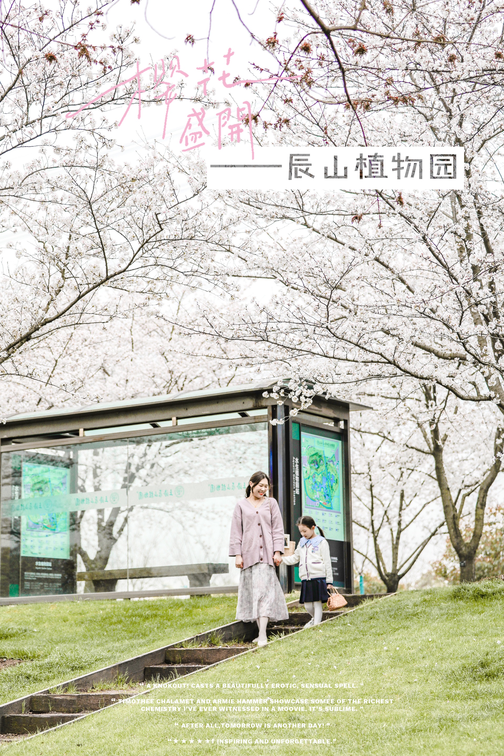 上海辰山植物园| 2022幸运邂逅绝美樱花