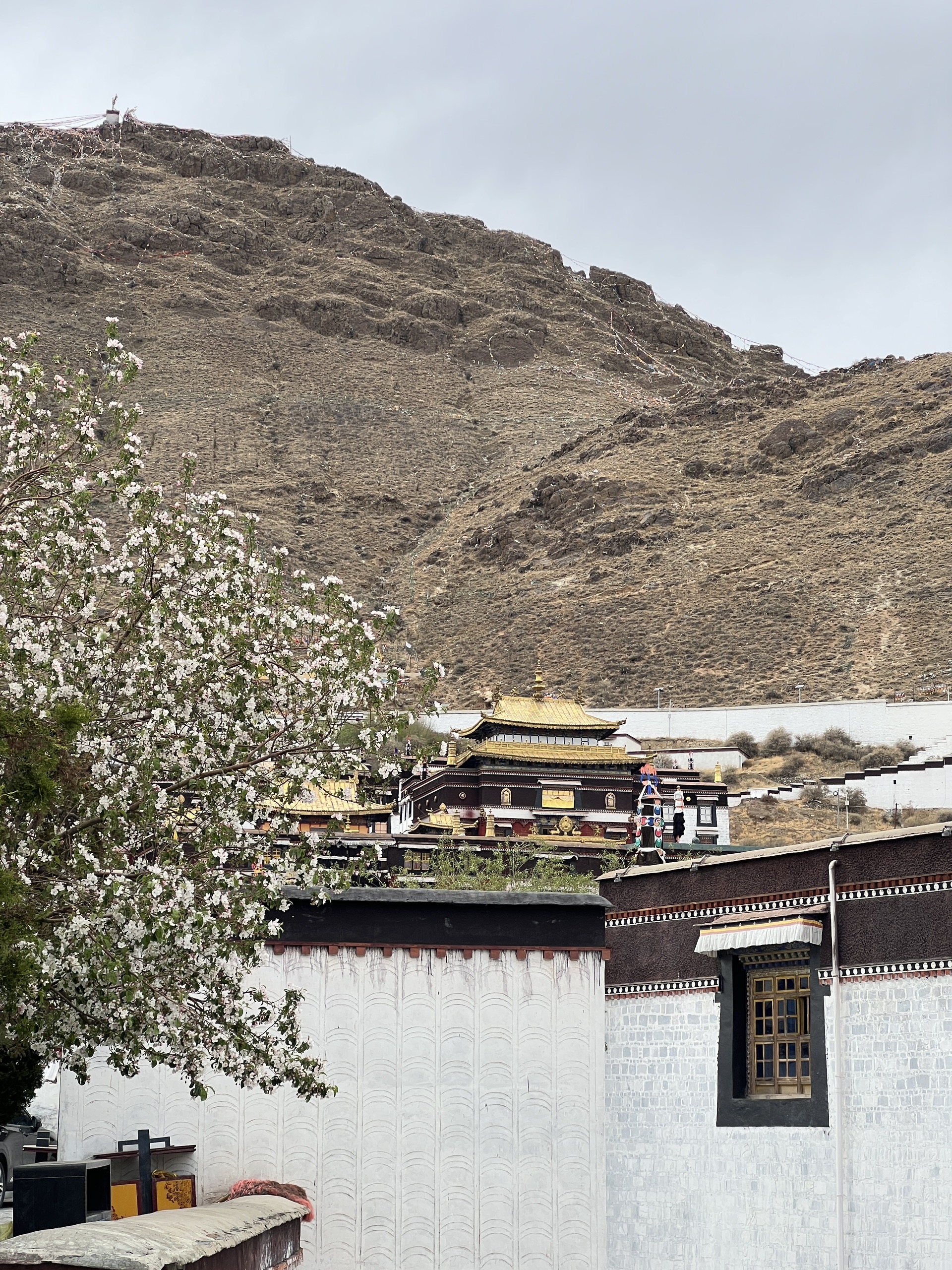 2023打卡西藏｜日喀则·扎什伦布寺