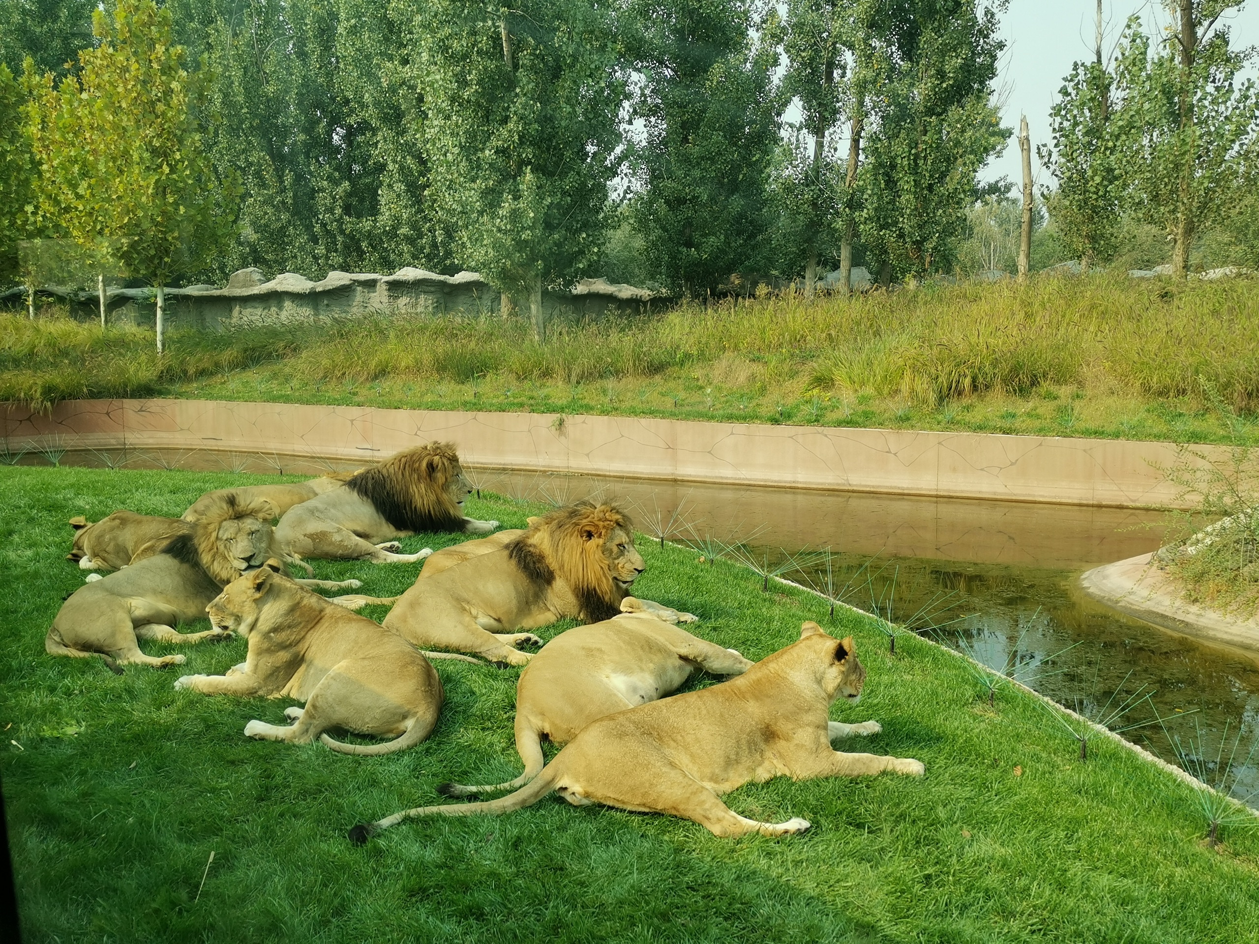 北京亲子周末推荐——北京野生动物园