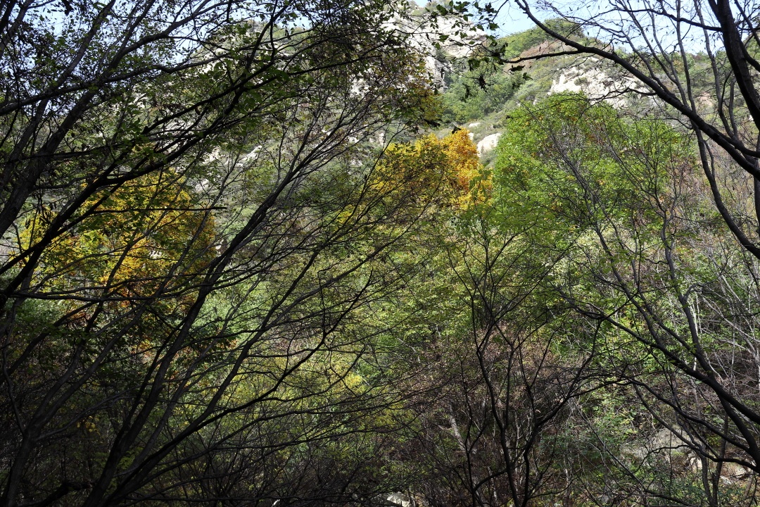 黑山大峡谷，本来是去看红叶的