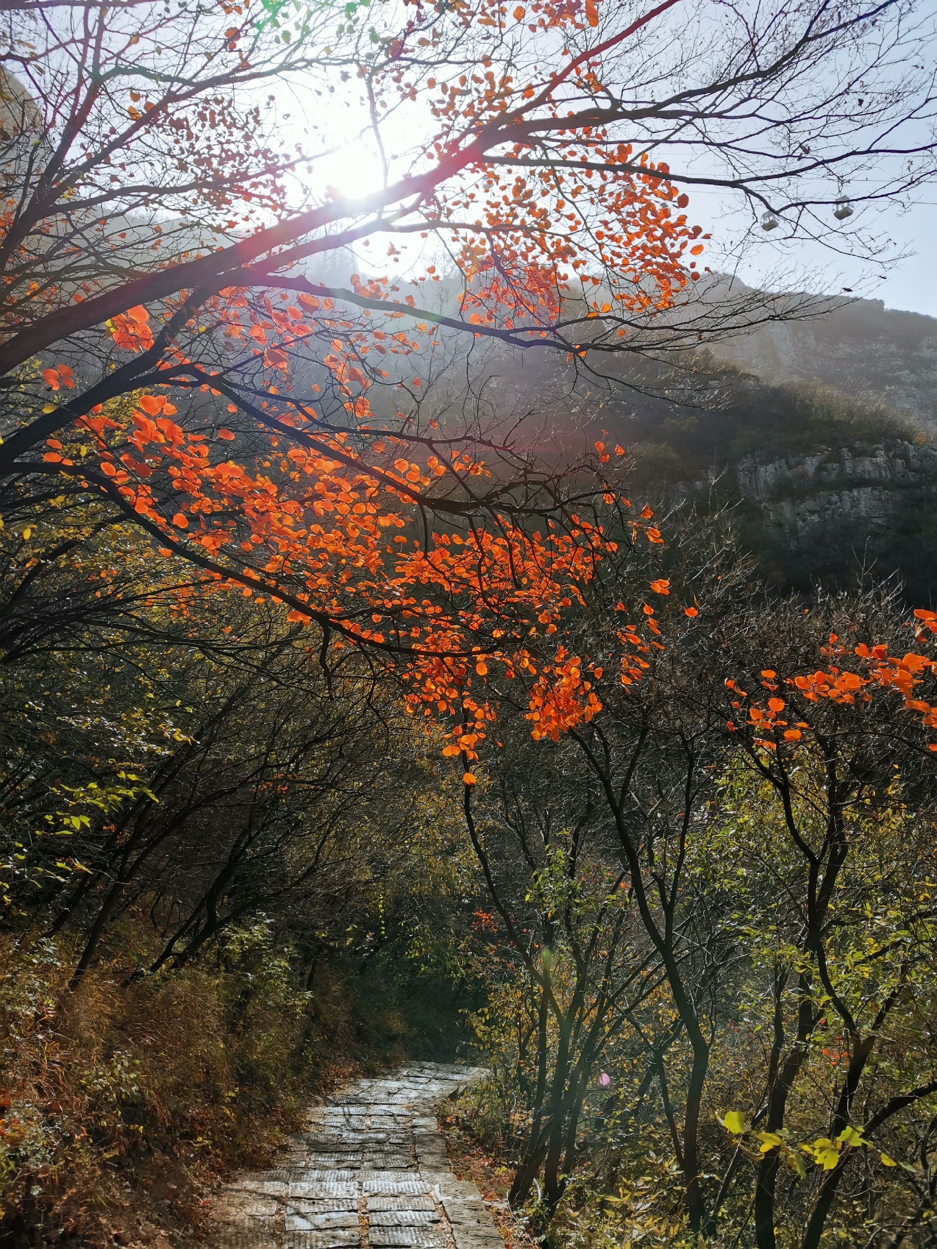​青天河-焦作青天河风景区的秋天图片大全