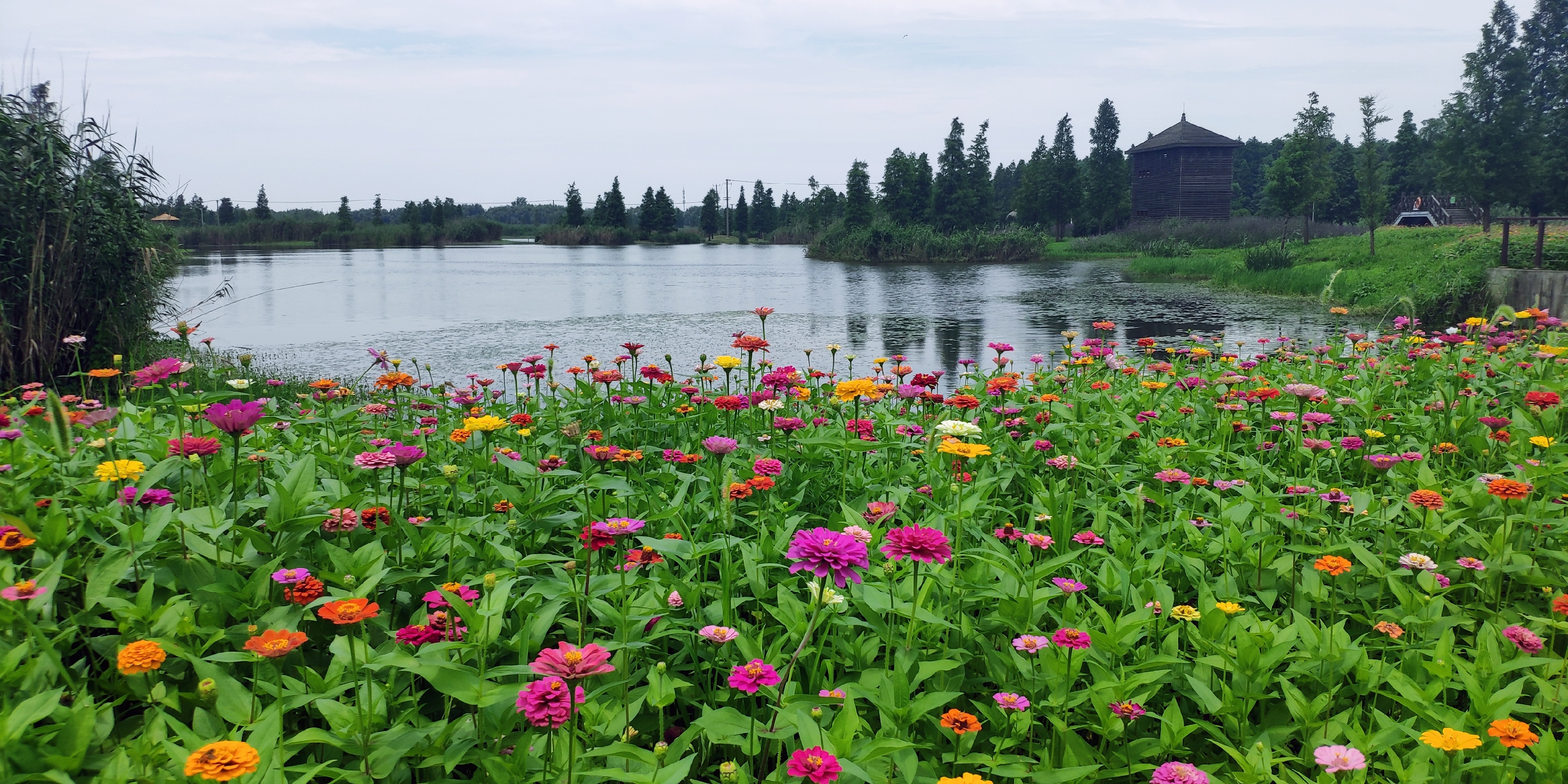 上海生态保护最好的公园之一_青西郊野公园