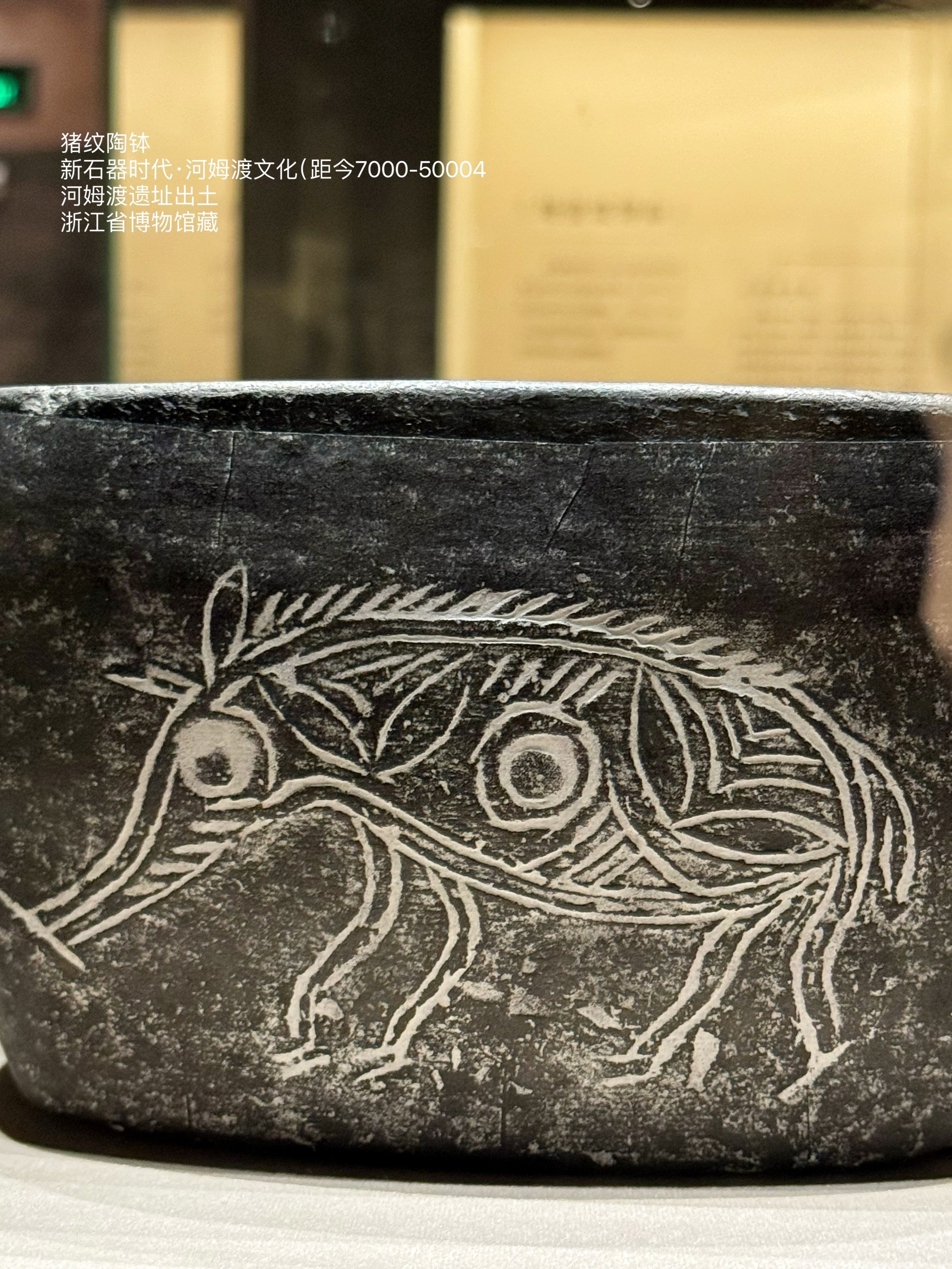 7000年前的江南｜国博河姆渡文化特展_中国国家博物馆