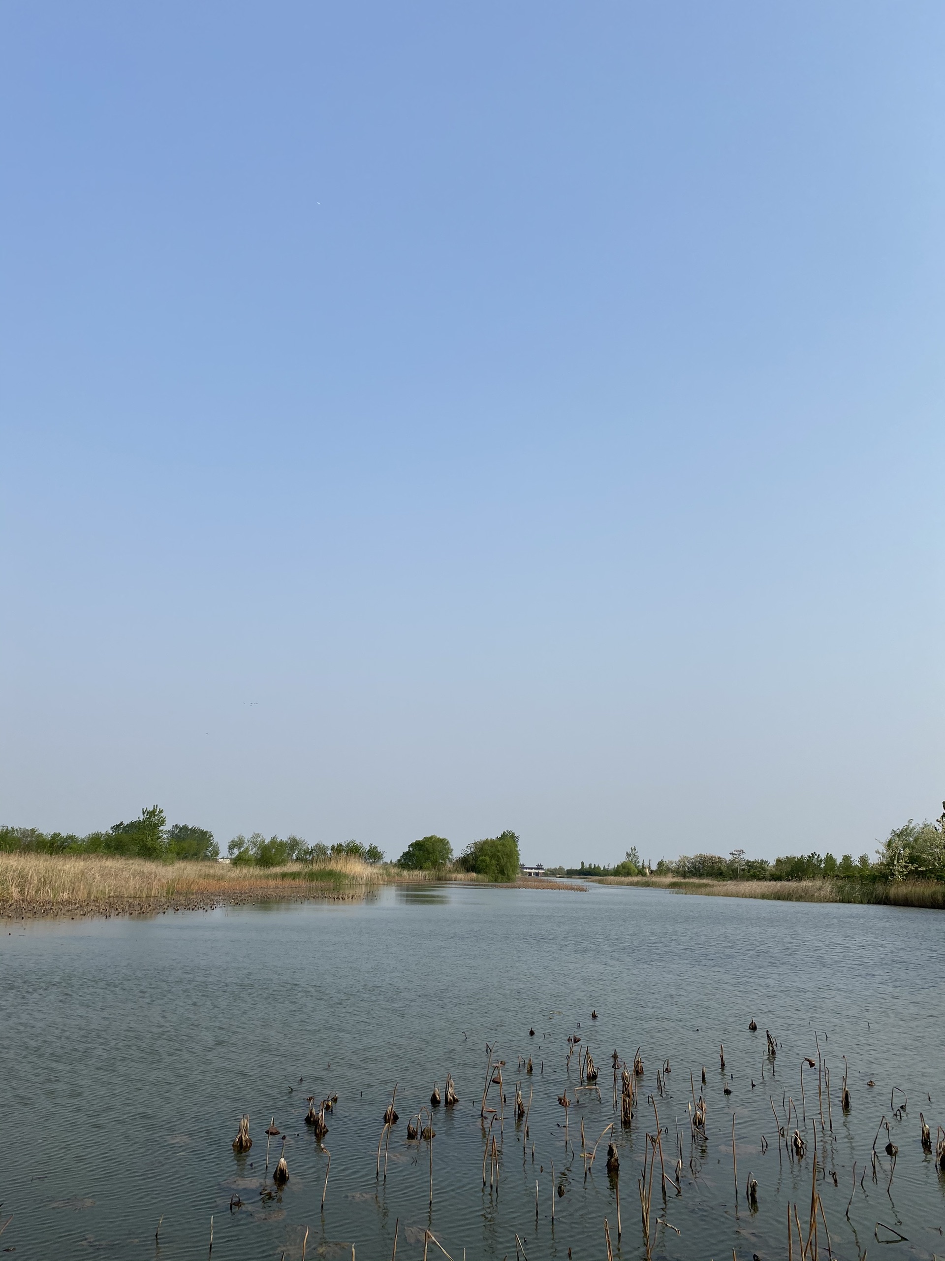 洪泽湖湿地公园-不值得特地跑一趟的公园