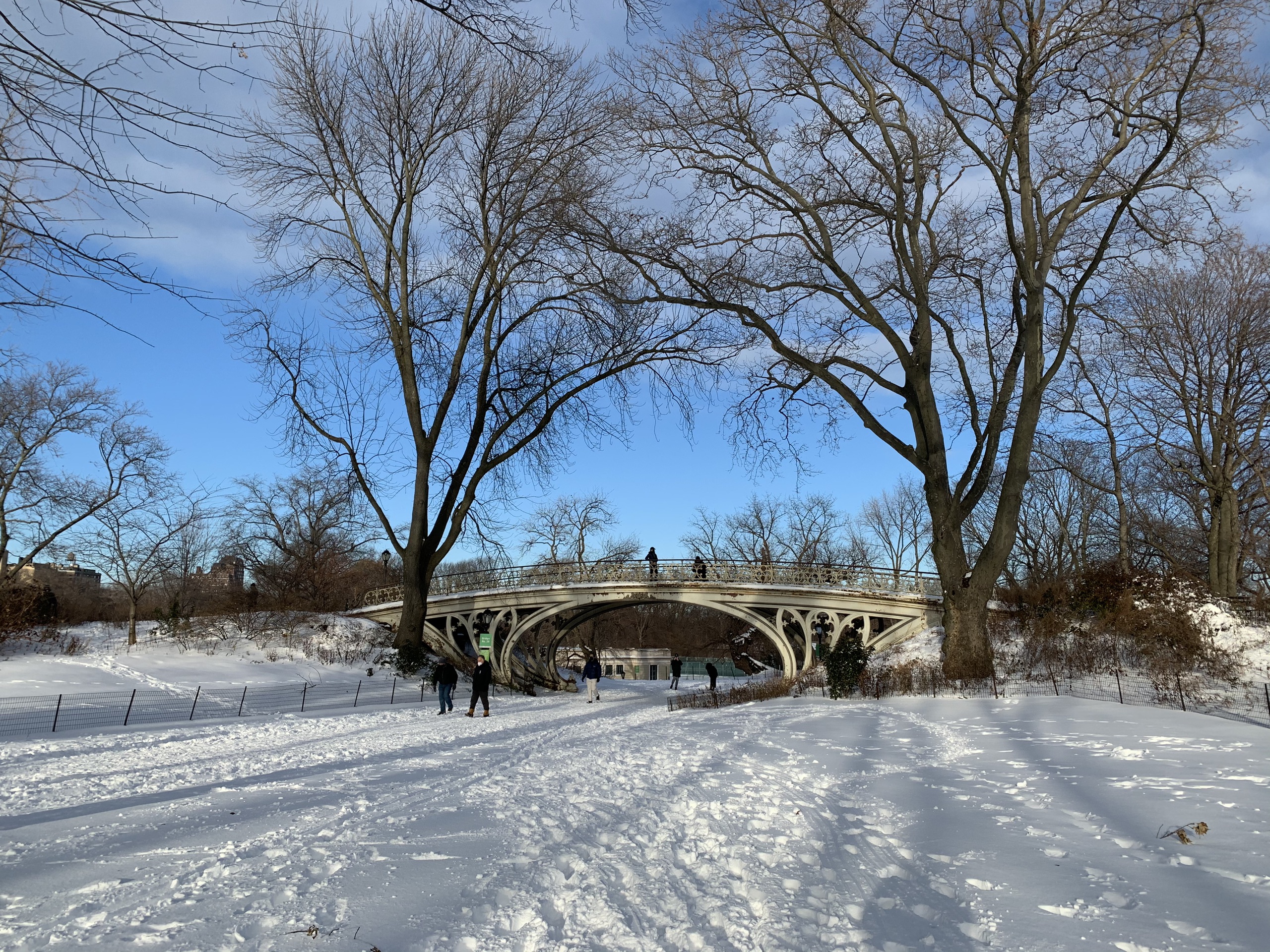 2020暴雪过后的纽约中央公园