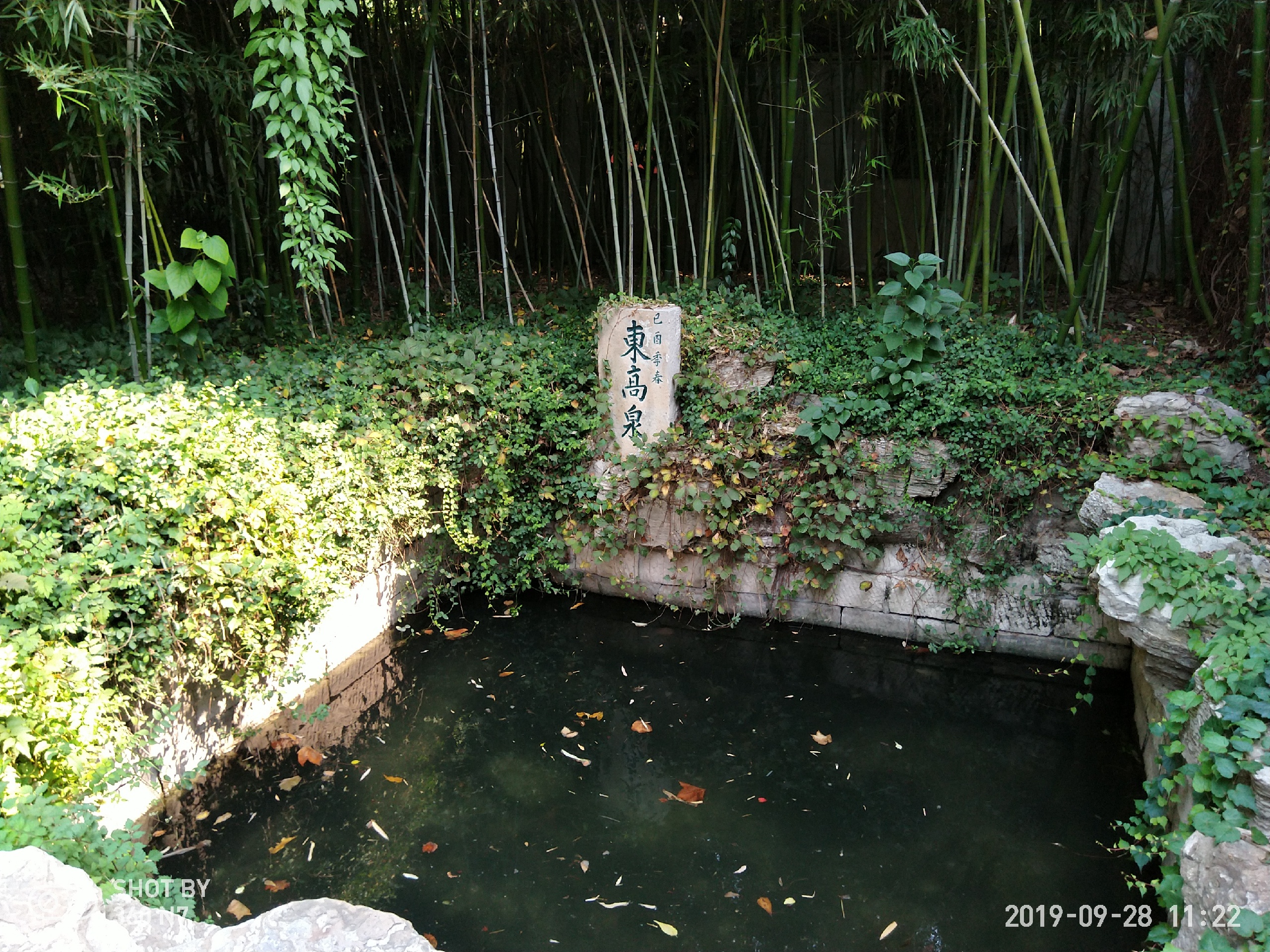 济南趵突泉景区有一个万竹园