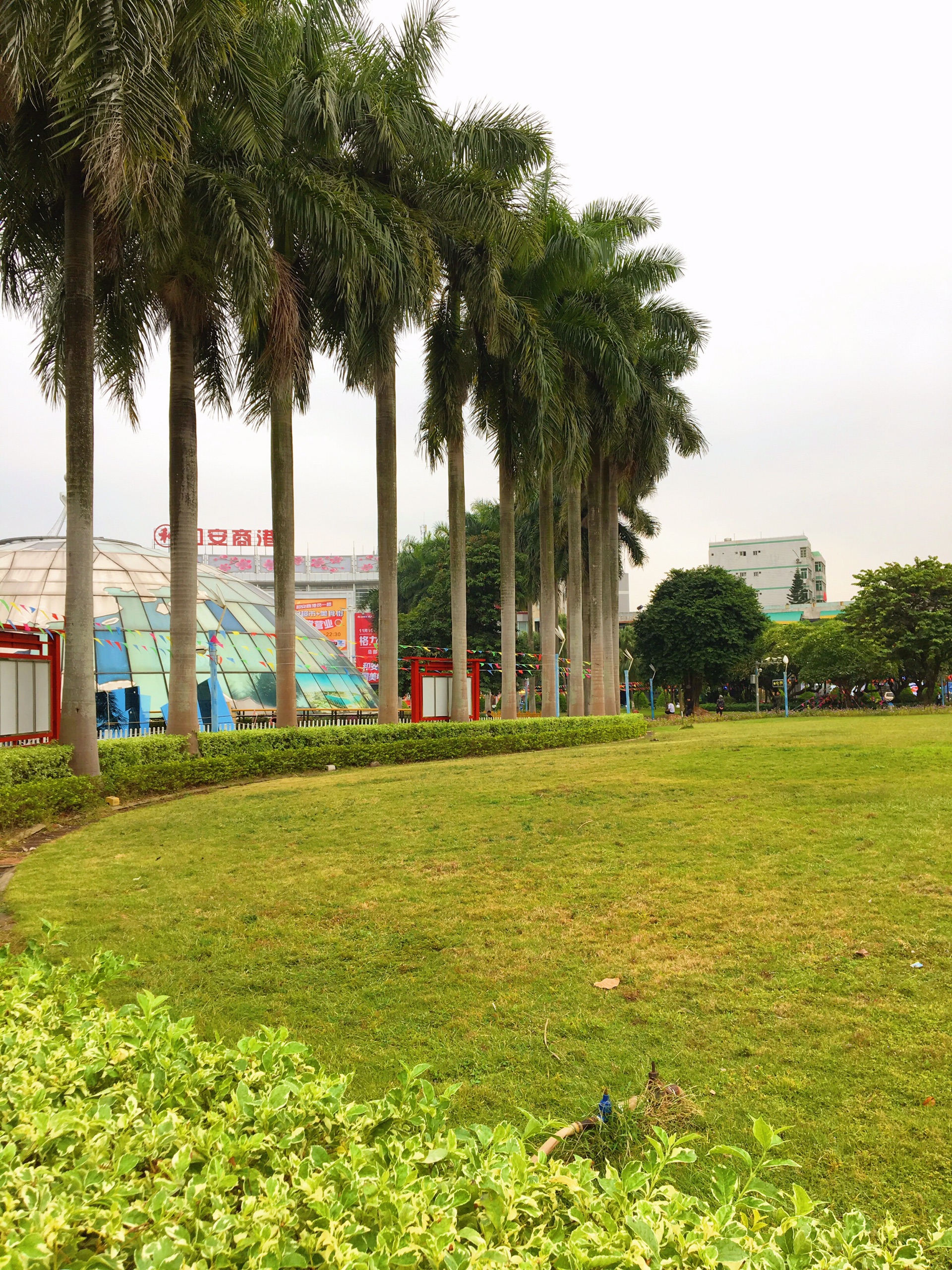 长青公园是北海市区最年轻的一座公园，是以开展纪念性活动为主的综合公园