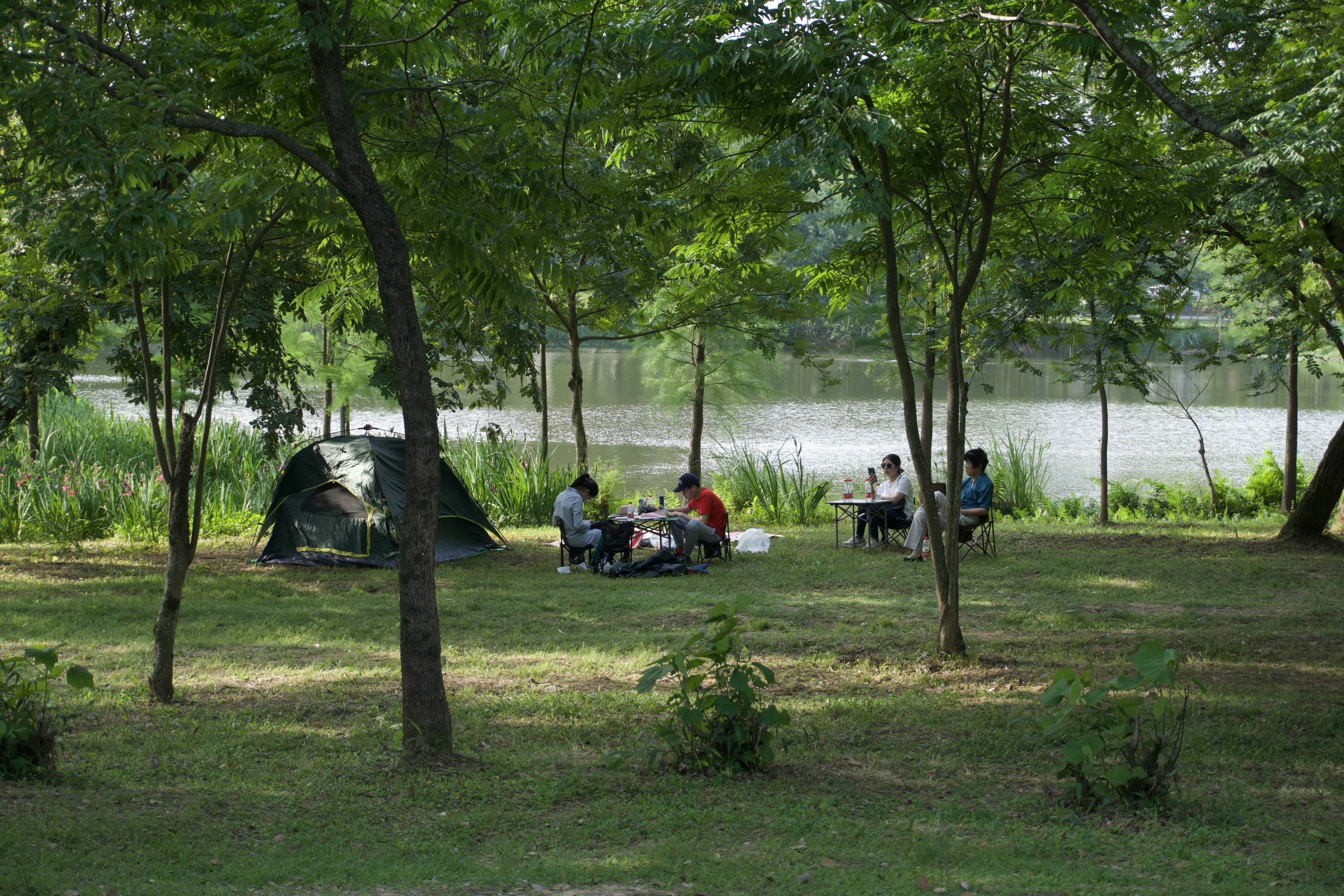 「寻找家乡好景」小长假最好的去处_浙江丽水九龙湿地公园