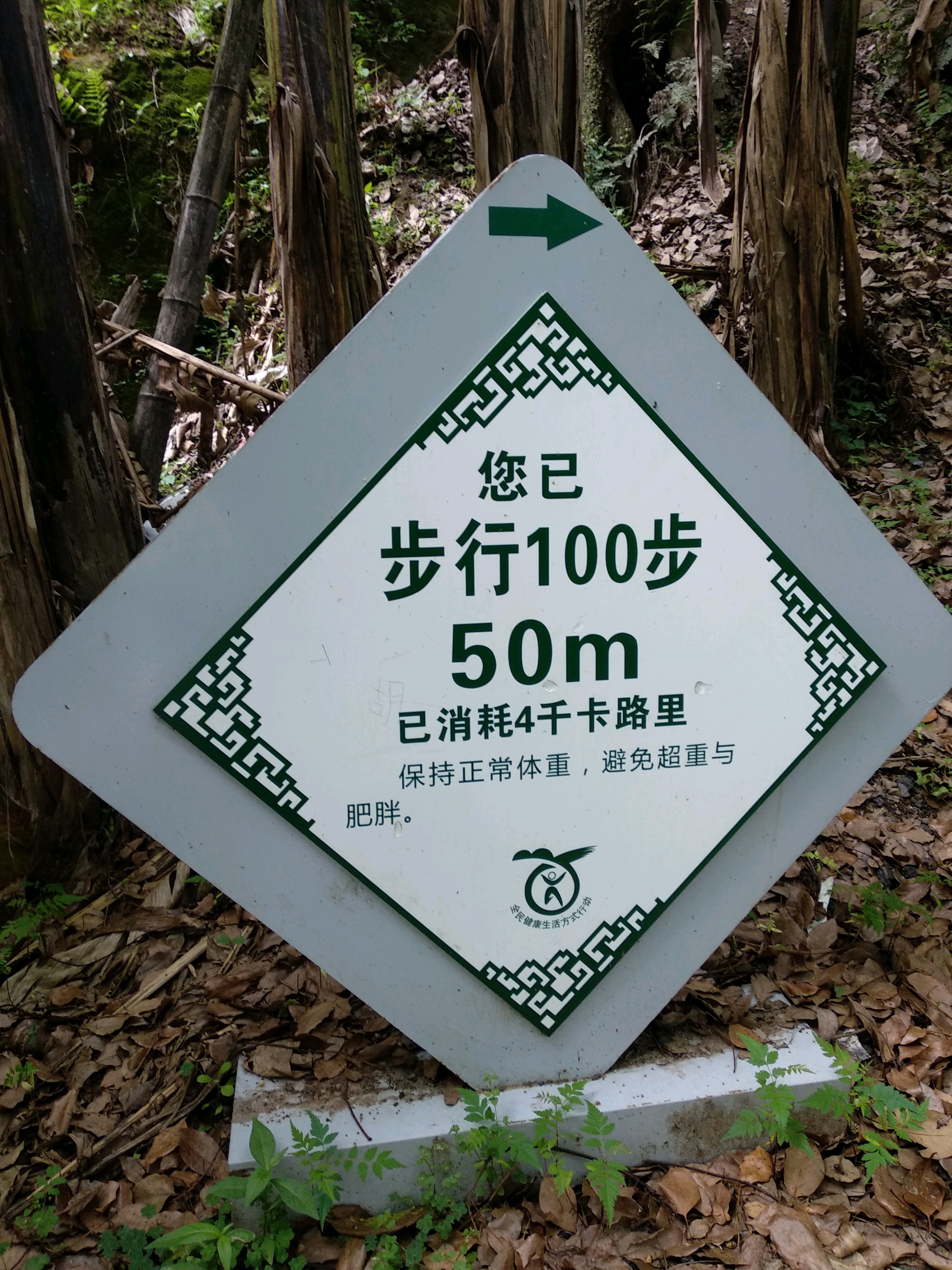 五一节，去南京浦口凤凰山公园