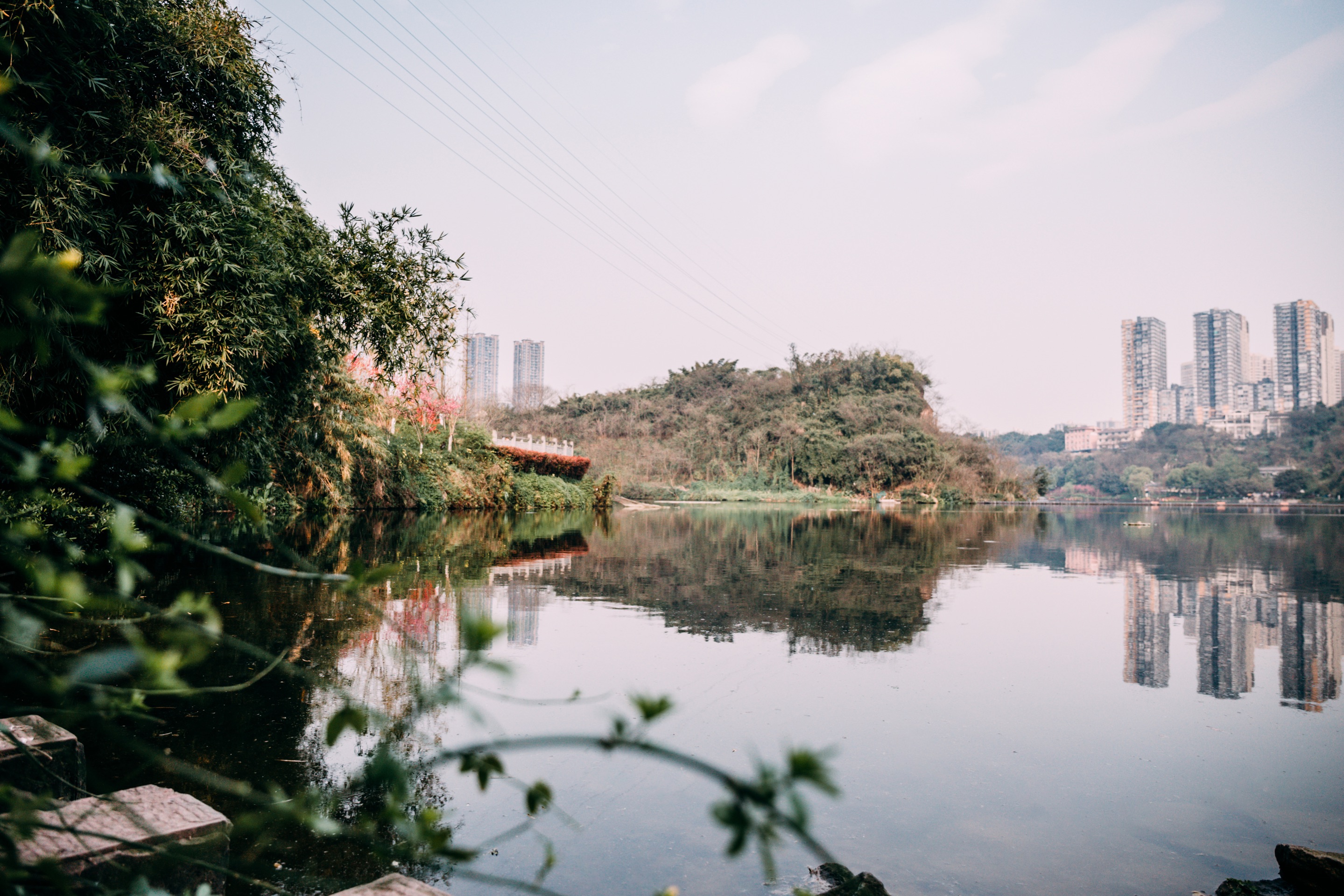 重庆·九龙坡区·彩云湖湿地公园-文艺写真的森林秘境