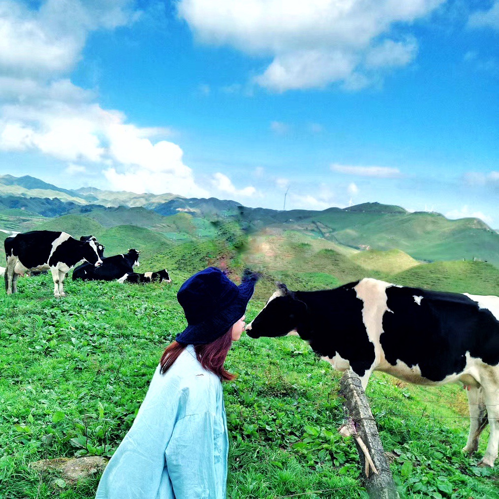 【小众景点】“中国的新西兰”之称的南山牧场