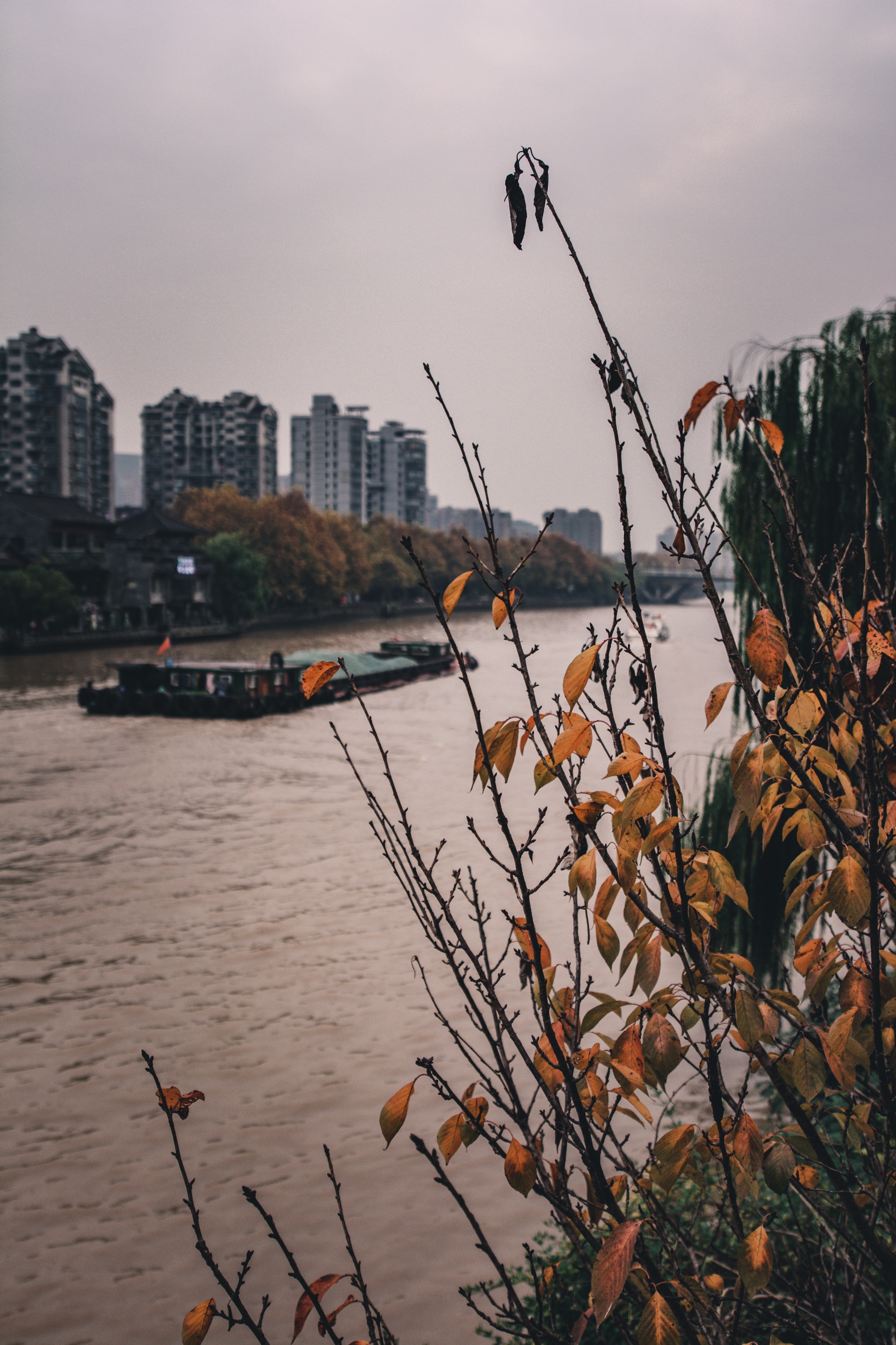 京杭运河....免费景点，时不时有船只通过，一面是小亭楼阁