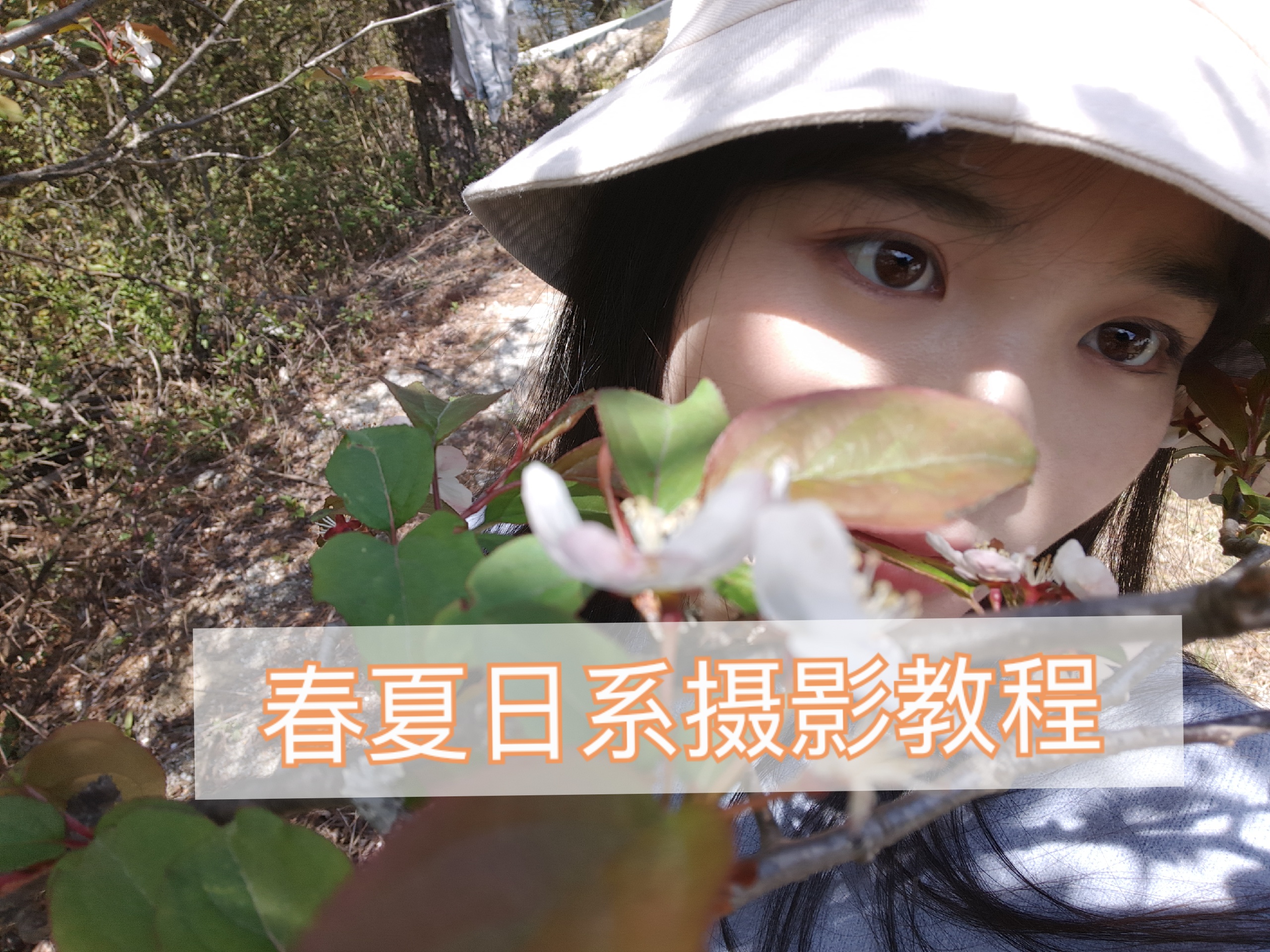 打开春夏摄影的正确方式-幕阜山森林公园