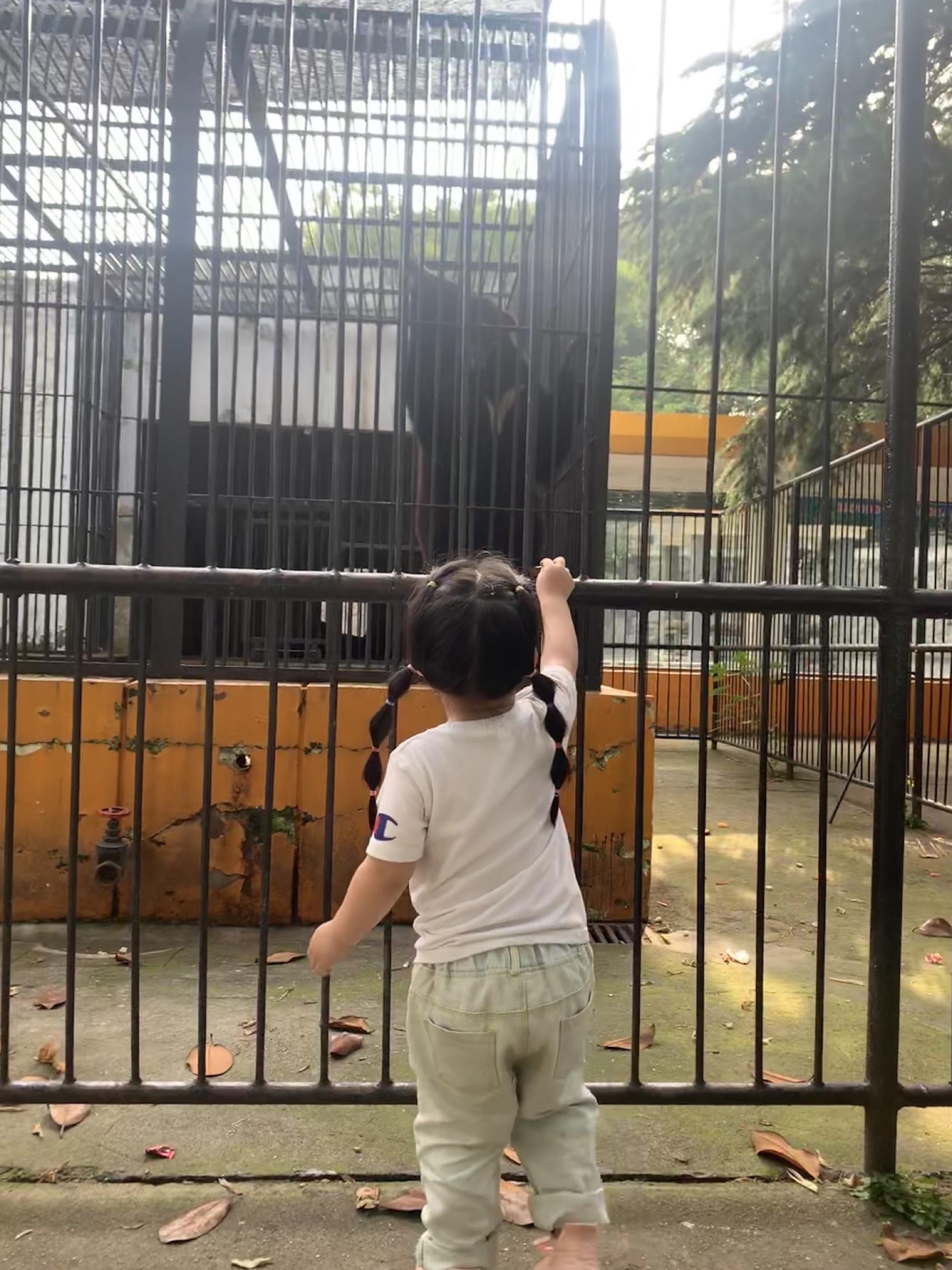 亲近大自然，走近身边的动物-武汉动物园