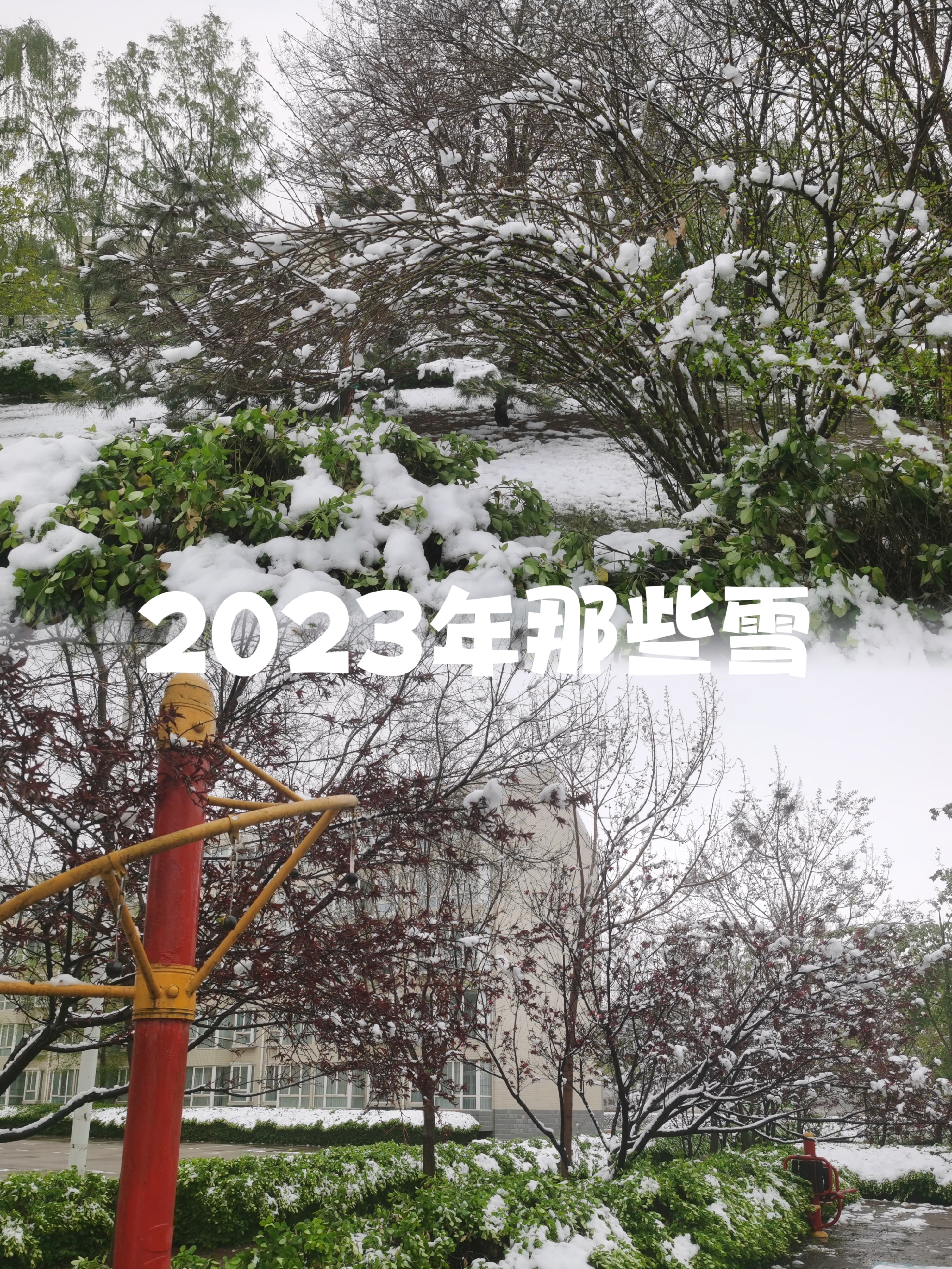 2023年山西立冬后的初雪