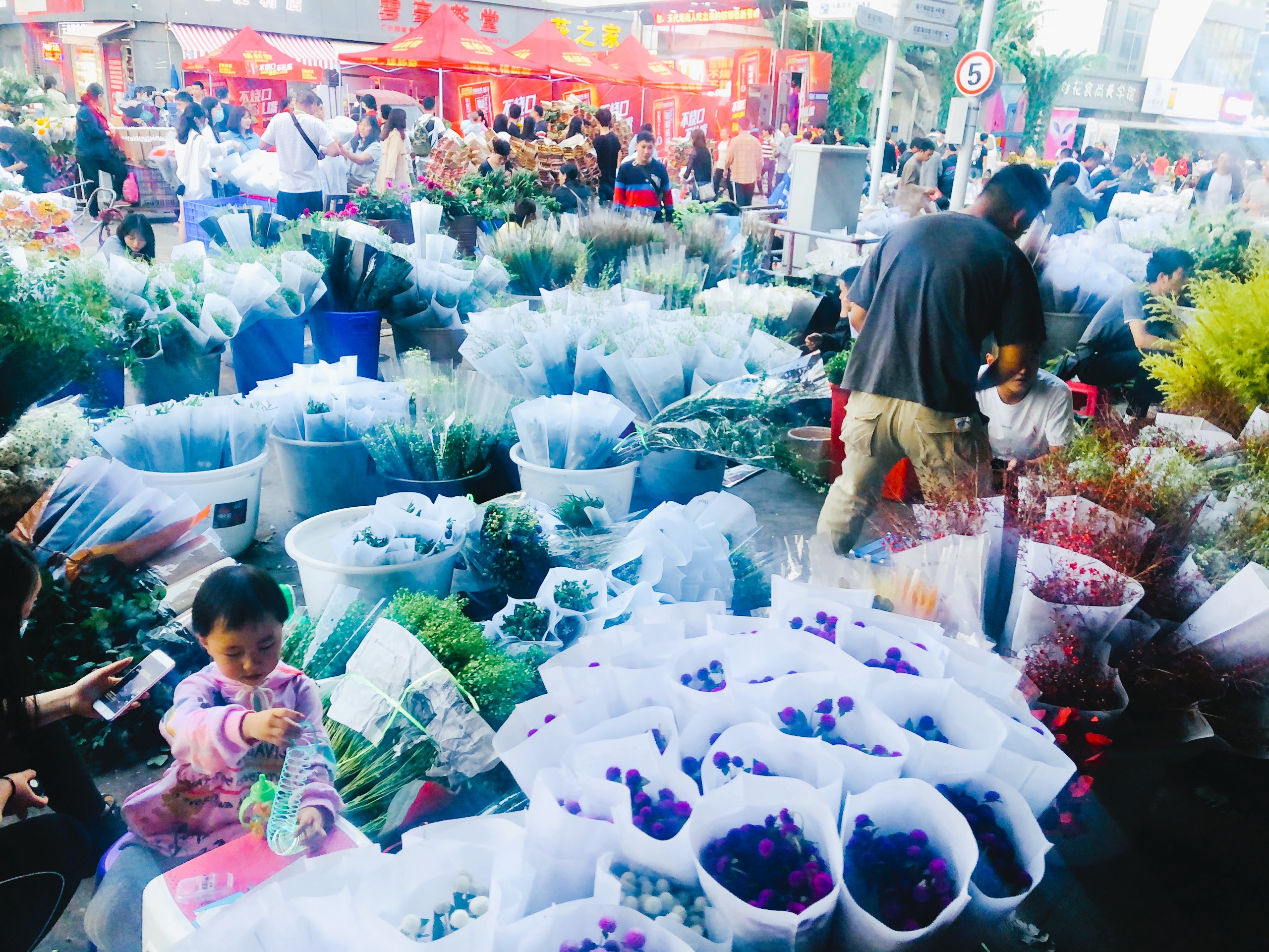 昆明斗南花卉市场也太好逛，竟然是晚上开市，神奇的营业时间