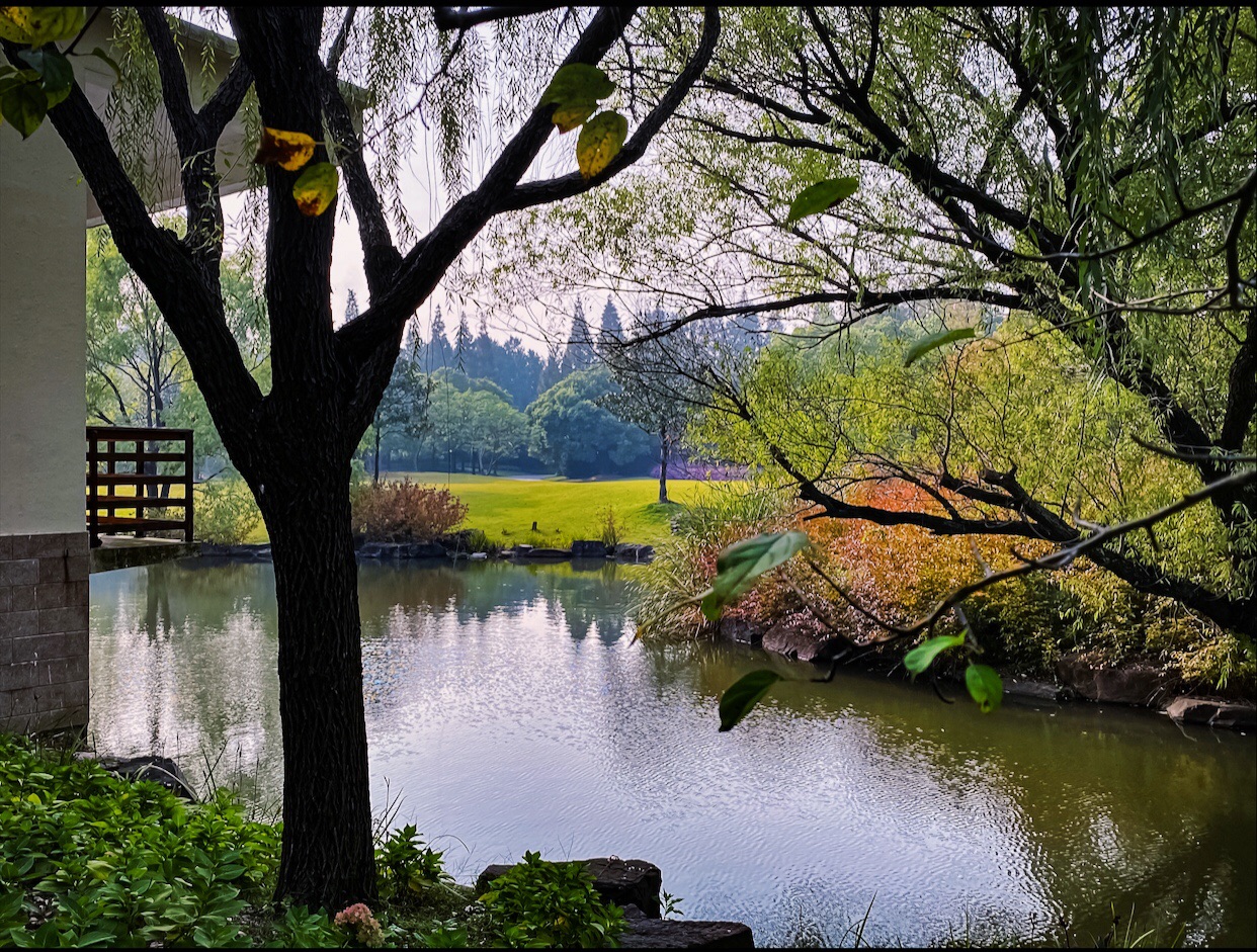 秋天必打卡花海———上海滨江森林公园