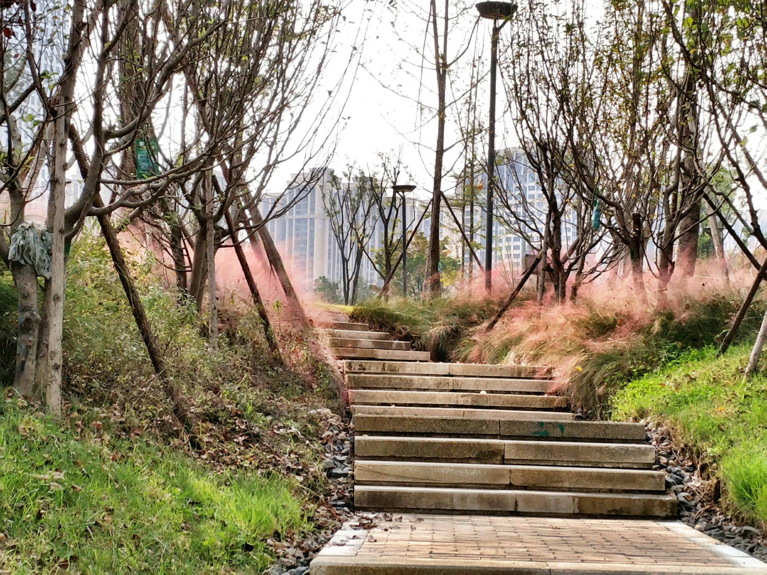 桂溪生态公园-一个适合全家出动，过来欢度周末的城市巨型公园