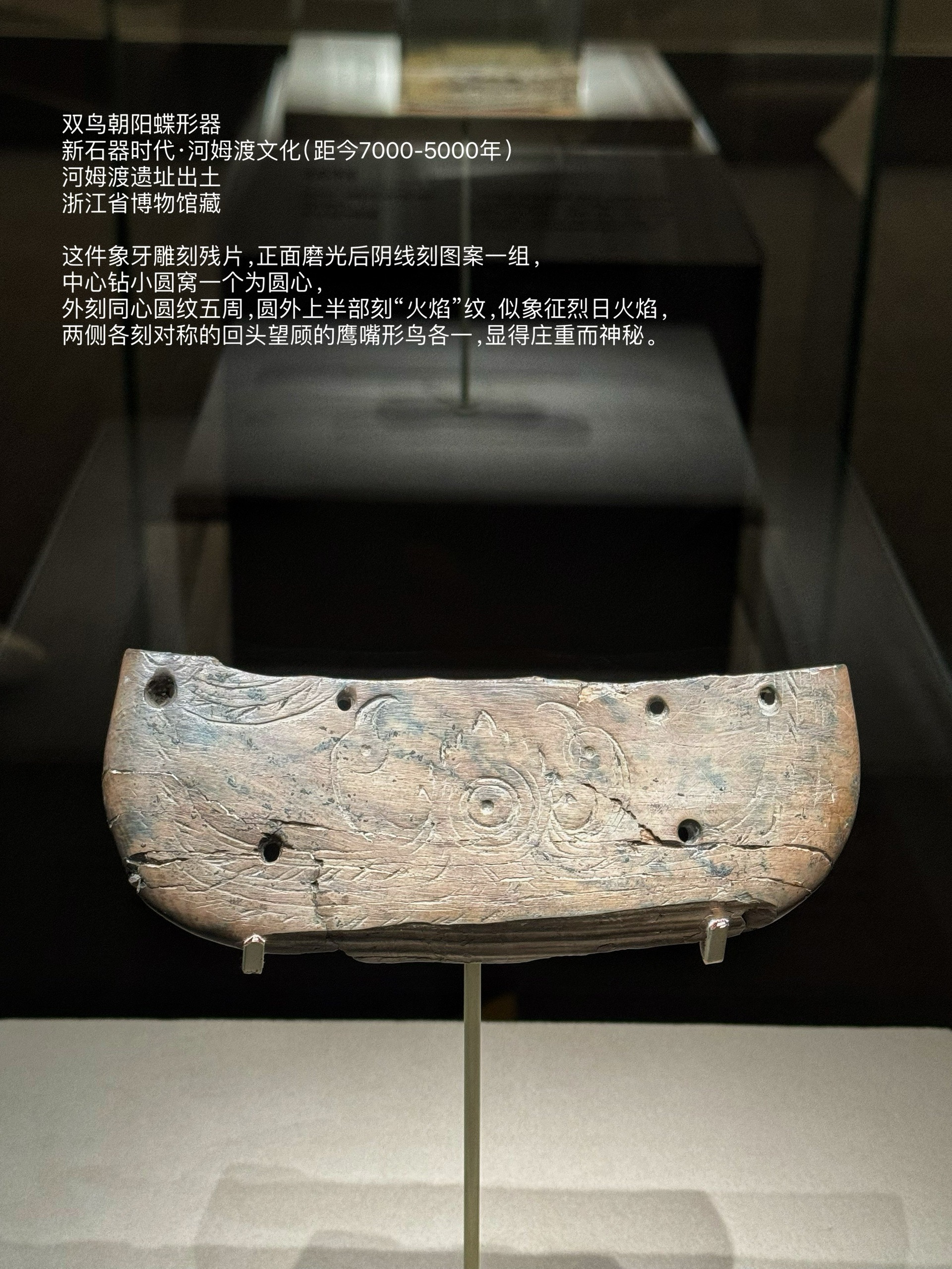 7000年前的江南｜国博河姆渡文化特展_中国国家博物馆