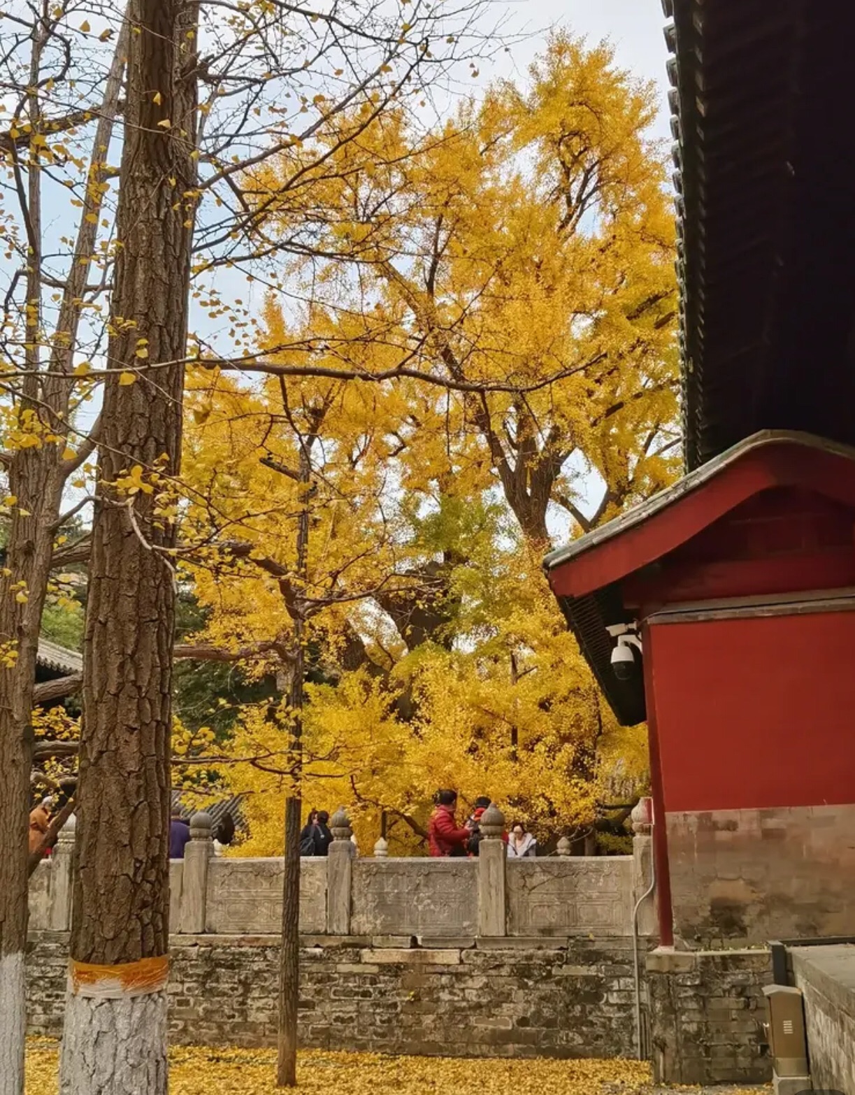 北京秋色之京西北大觉寺