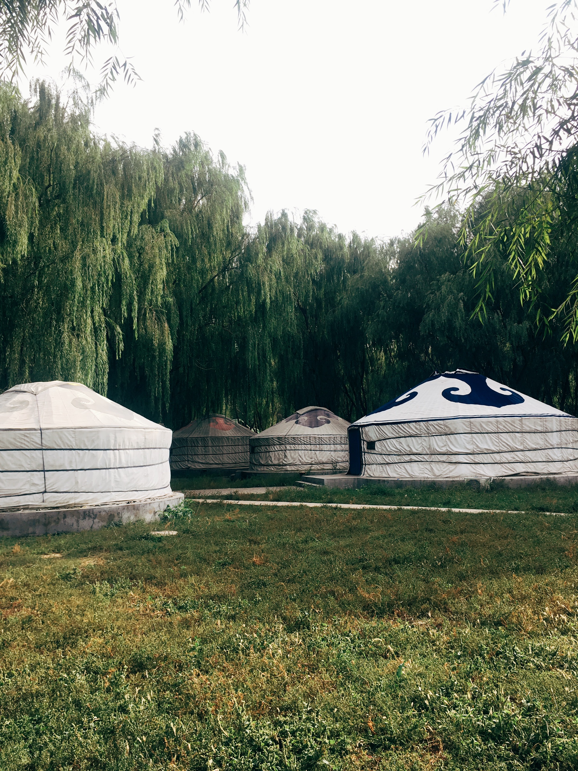中国唯一的城中草原-赛汗塔拉城中湿地公园