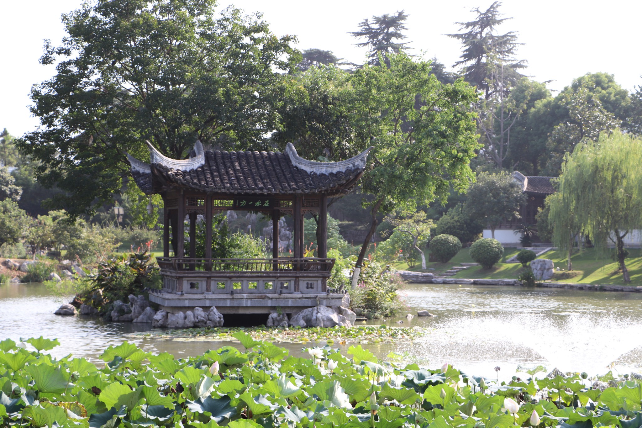 走访南京最好的私家花园——愚园