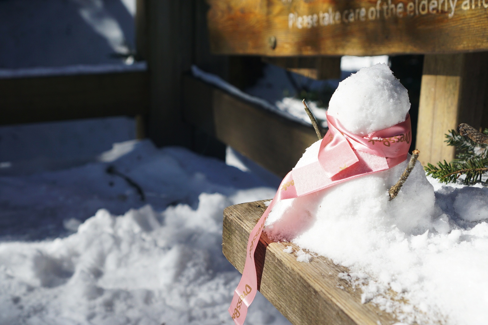 二零二一年元旦，晴，与一小友登西岭雪山观雪记