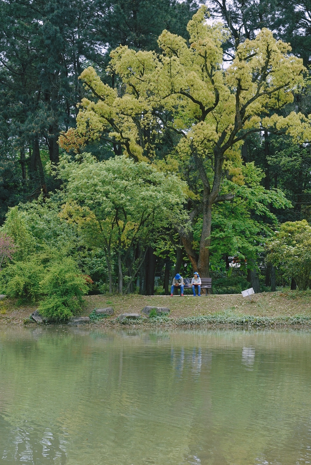 杭州周末去哪儿|春暖花开，逛公园也太快乐了叭_杭州植物园