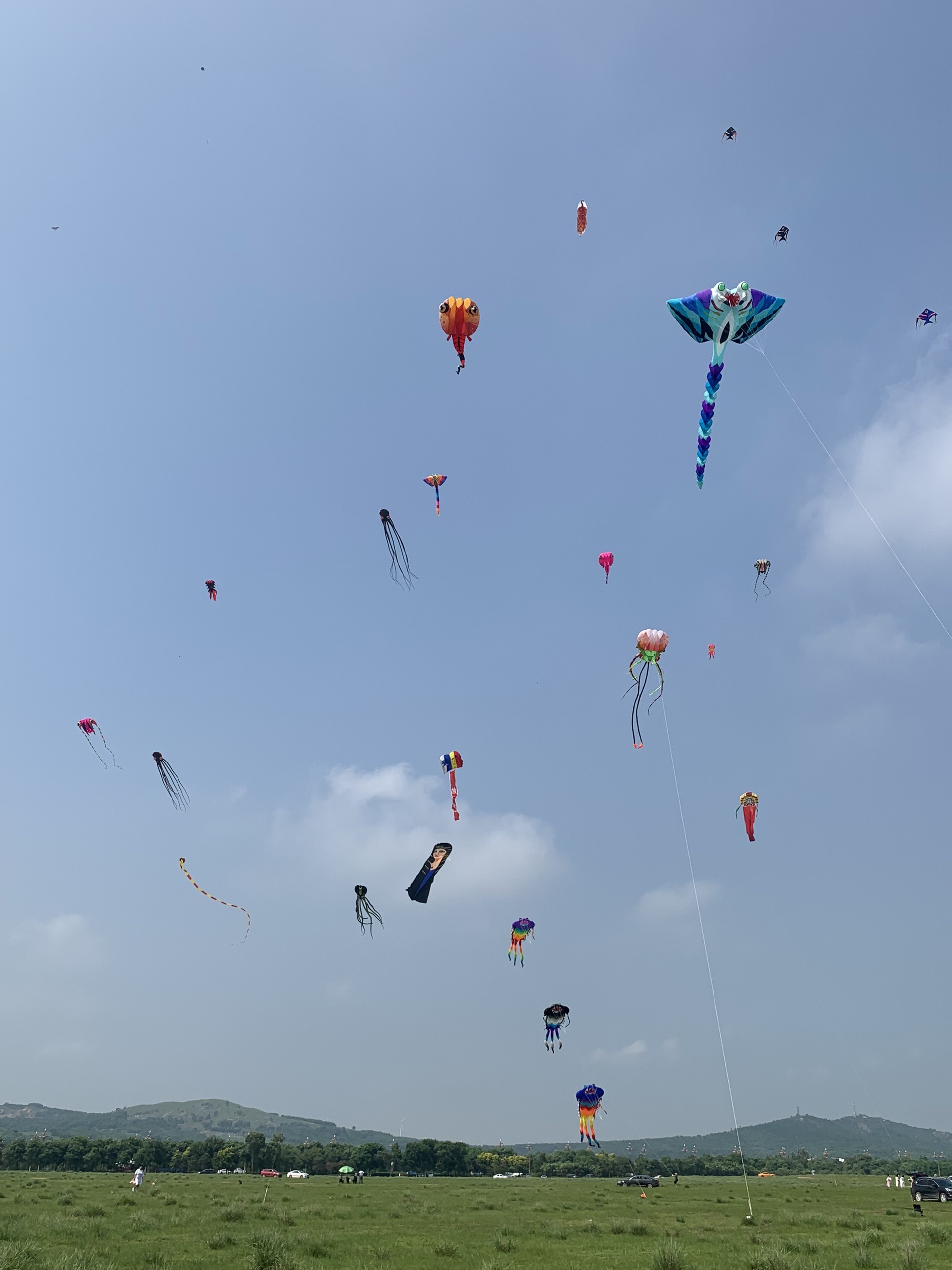 辽宁锦州自驾车露营地！去锦州龙头礁，看最美风筝秀