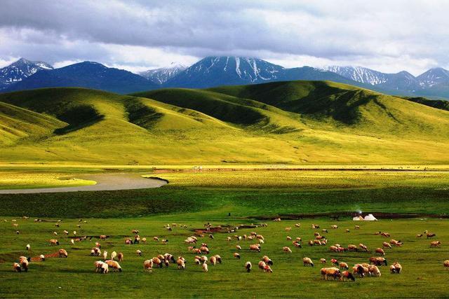 夏天必去的仙境草原，继续探秘新疆这个宝藏之地_巴音布鲁克草原