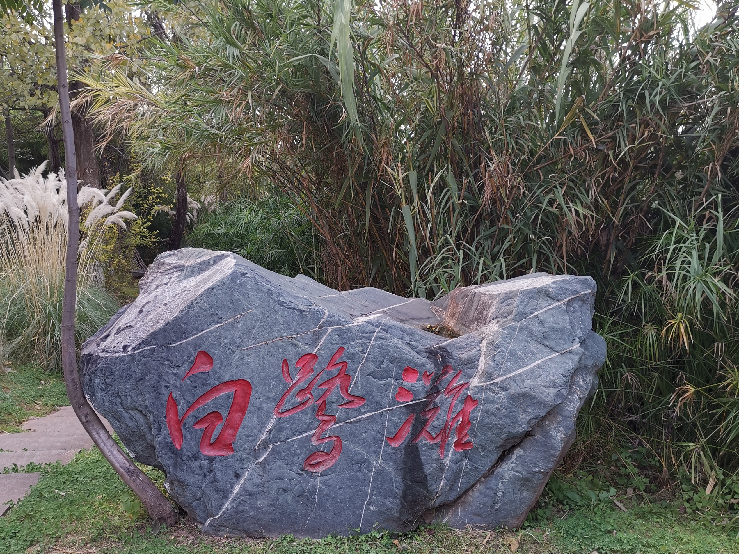 10月11日下午来到了西昌邛海的湿地公园游览-梦里水乡湿地公园