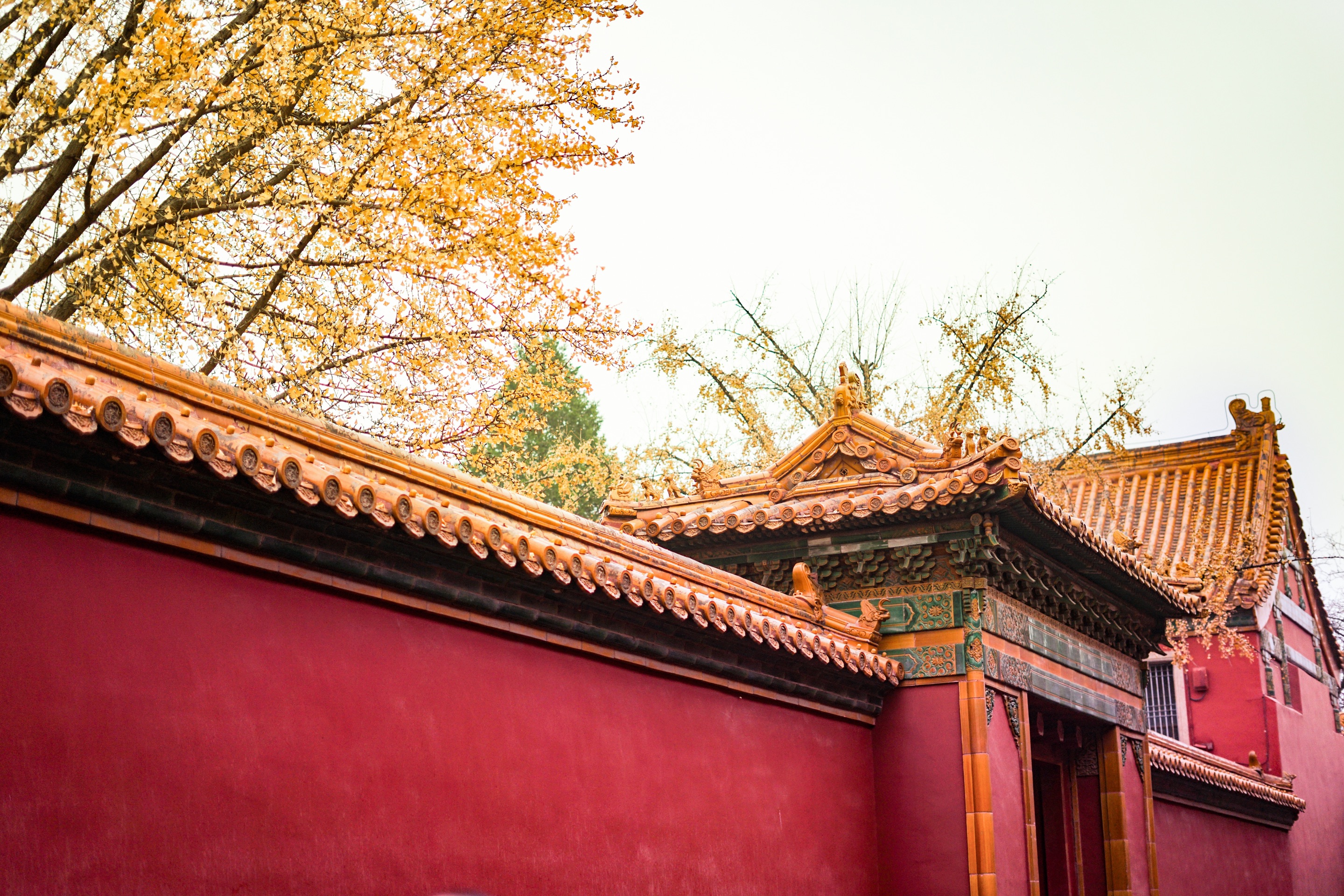 北京旅游|故宫旅游|11月北京