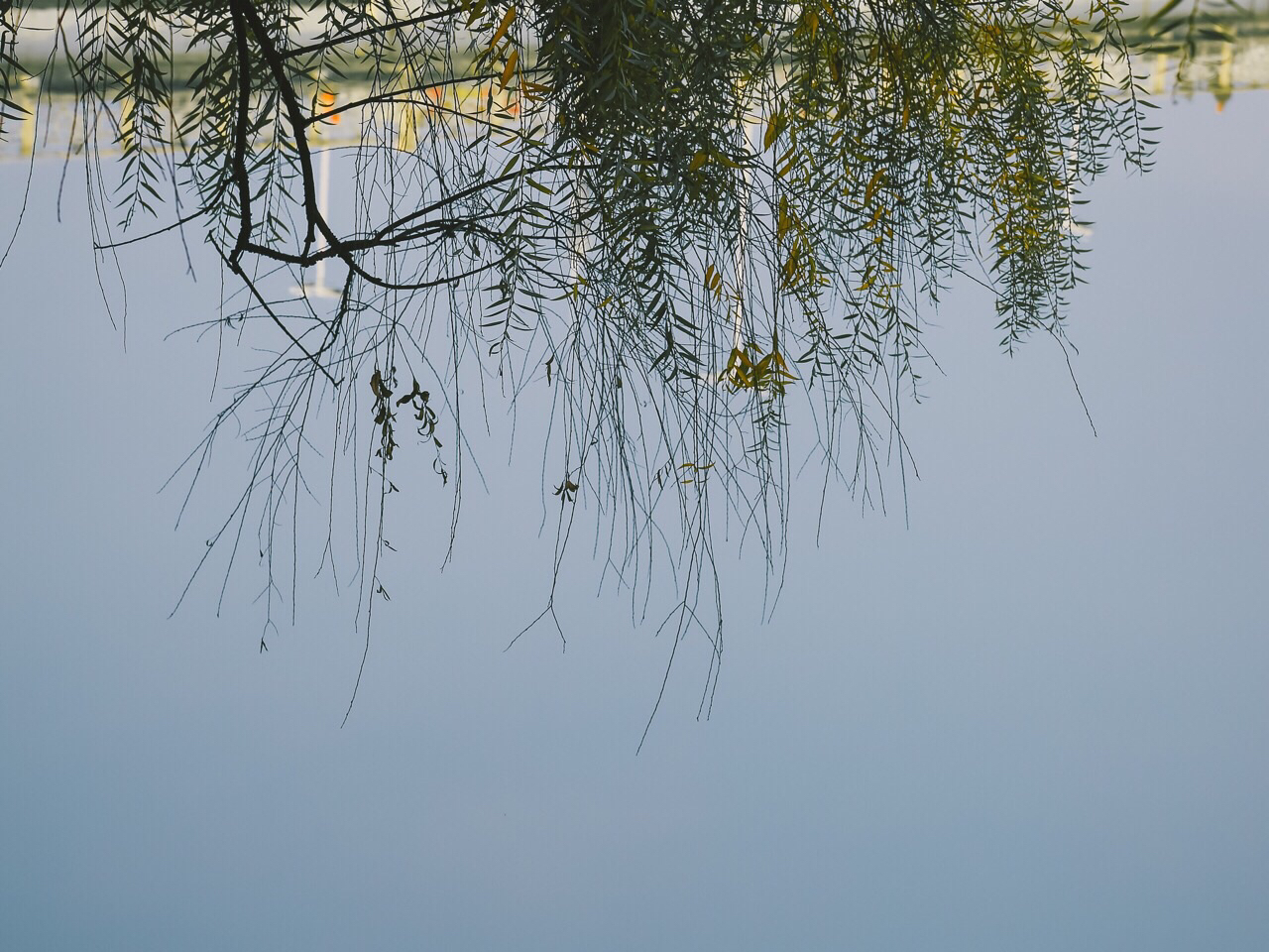 南河湿地公园-一条平静的河湖，泛出淡淡的绿色，如温和的玉或者翡翠，清水粼粼丝绸般滑过。