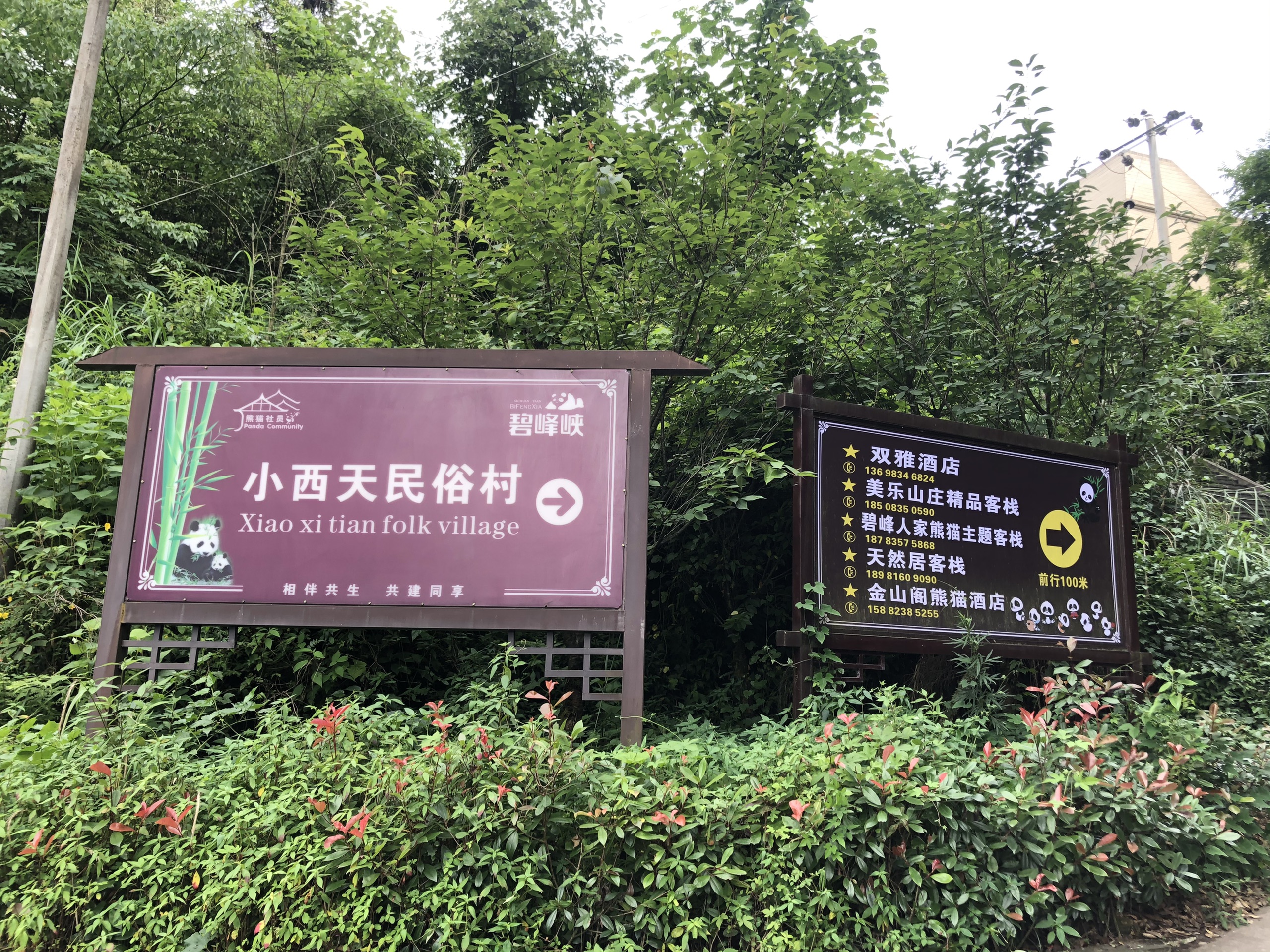2020年最新碧峰峡风景区、熊猫基地游玩攻略！