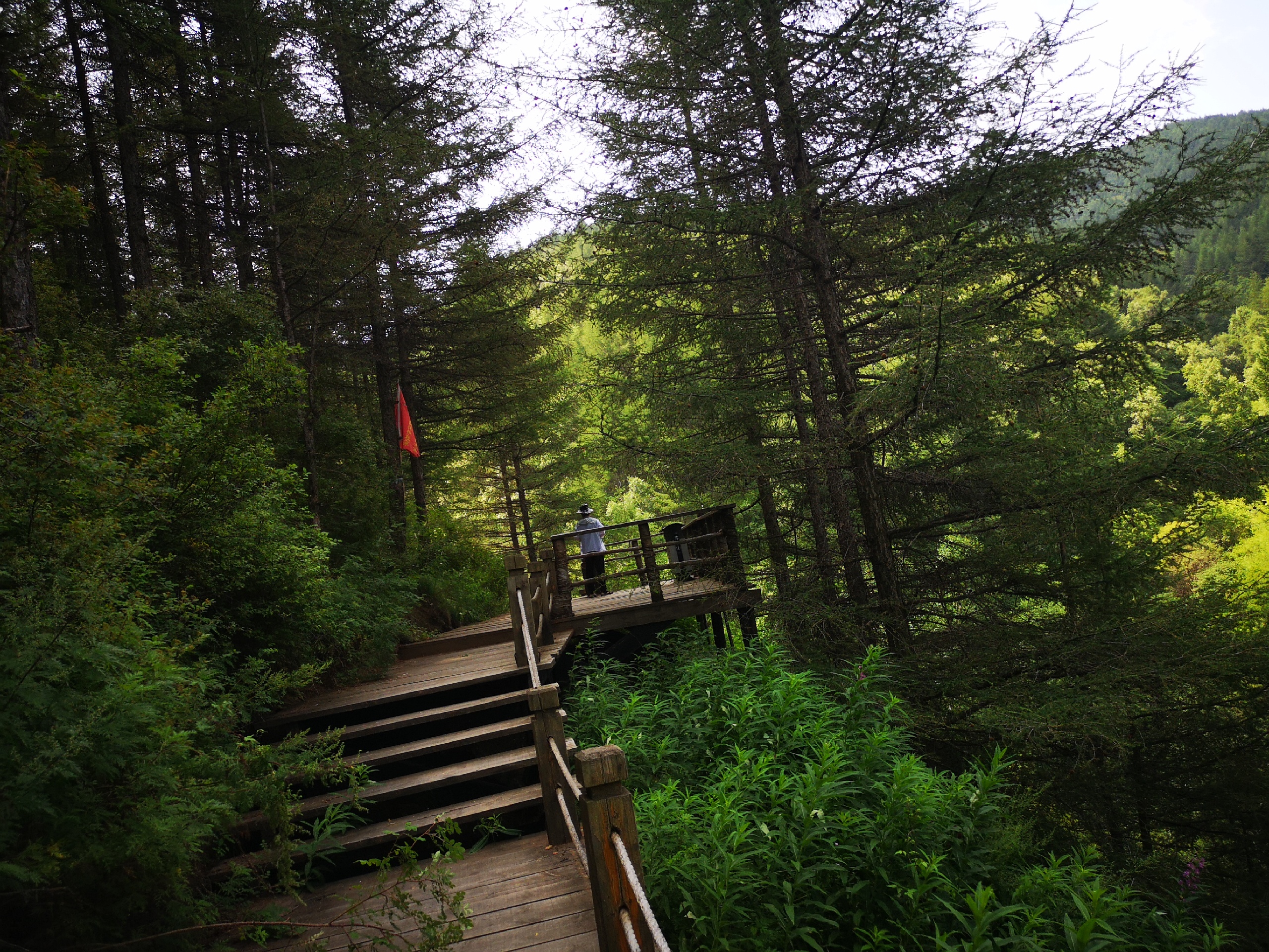 苏木山森林公园，国家4A级景区