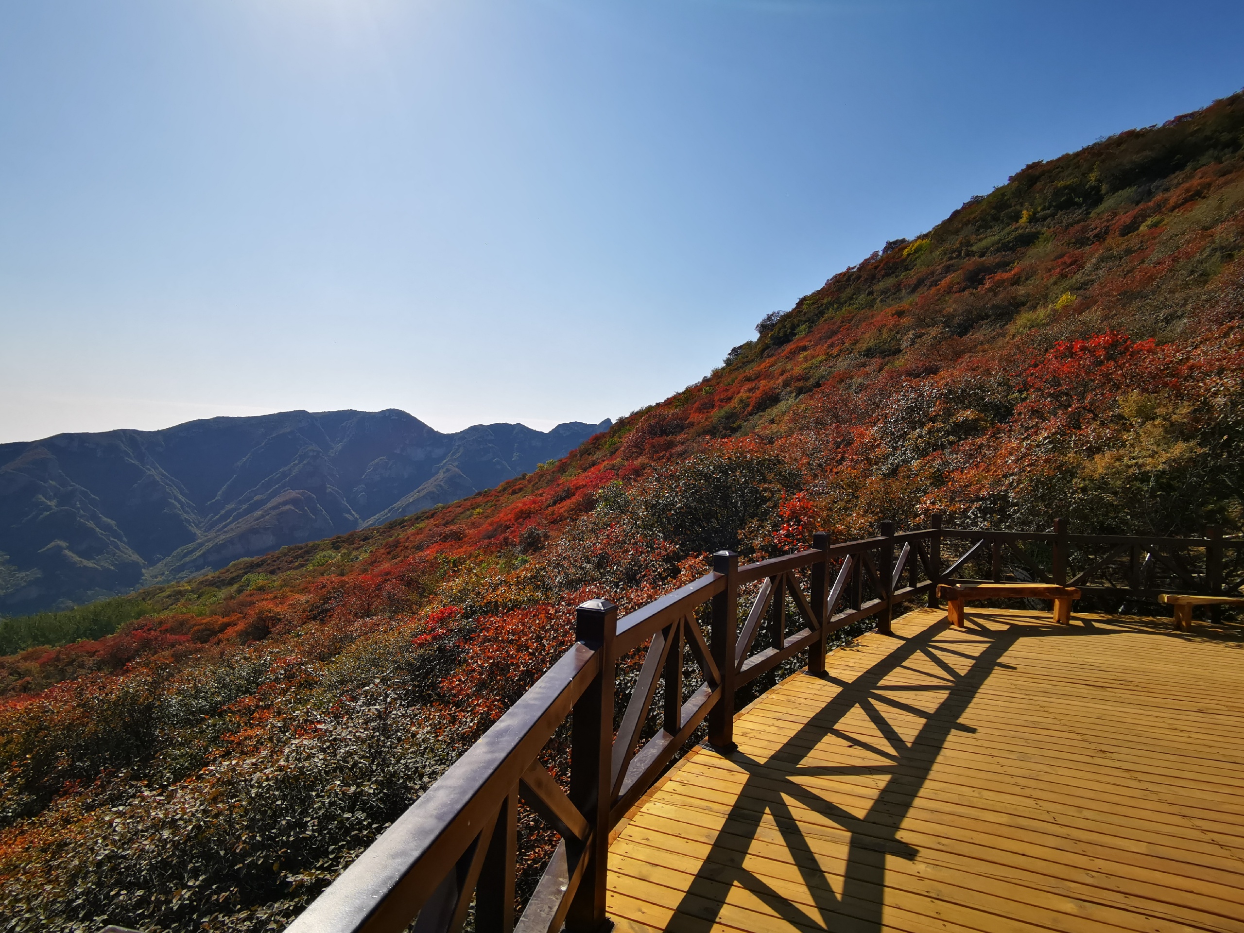 坡峰岭红叶节色彩斑斓 相比于香山公园有过之而无不及