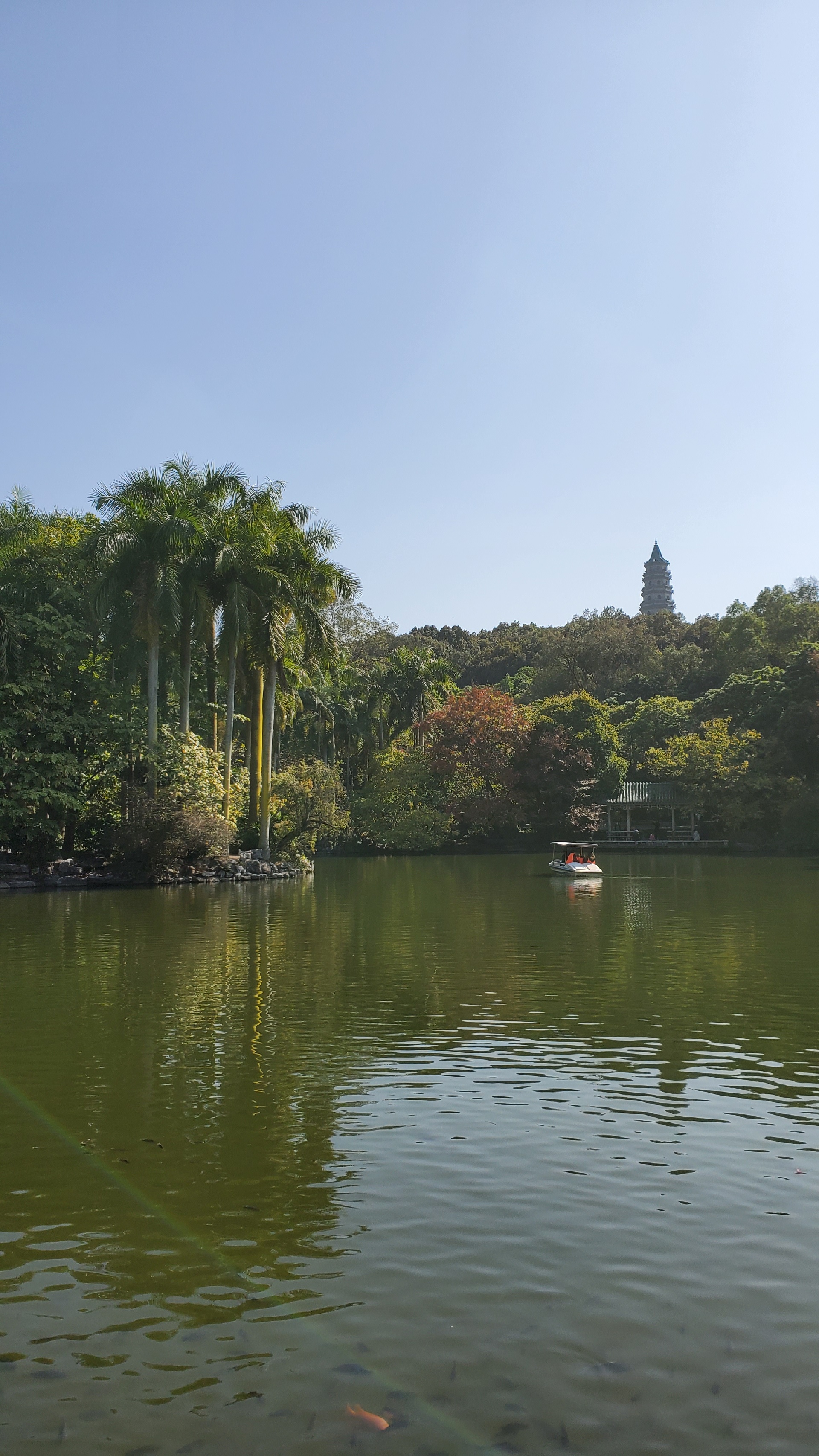 青秀山_南宁最出名的景点，放在别的城市也就是一个普通城市公园20元门票