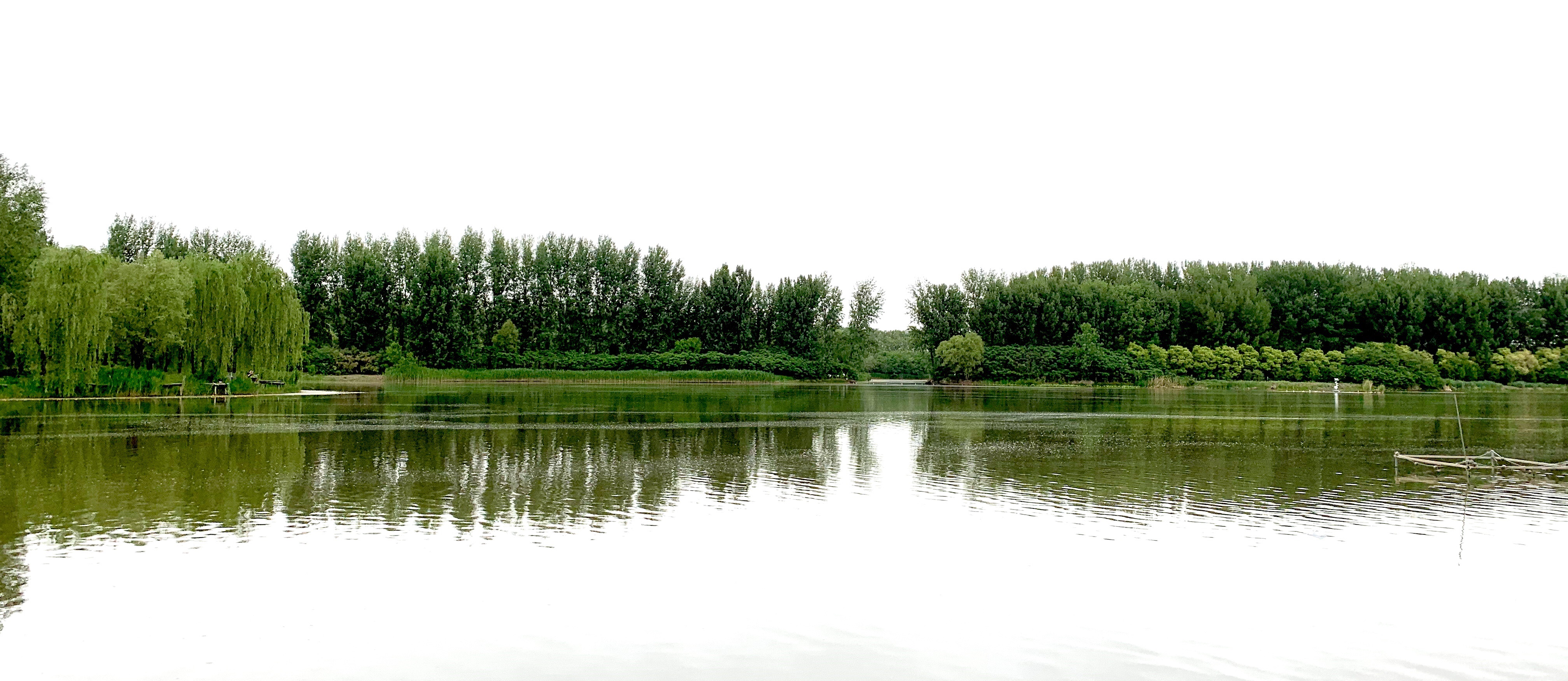 欣赏大自然的美_北京周末自驾汉石桥湿地自然保护区