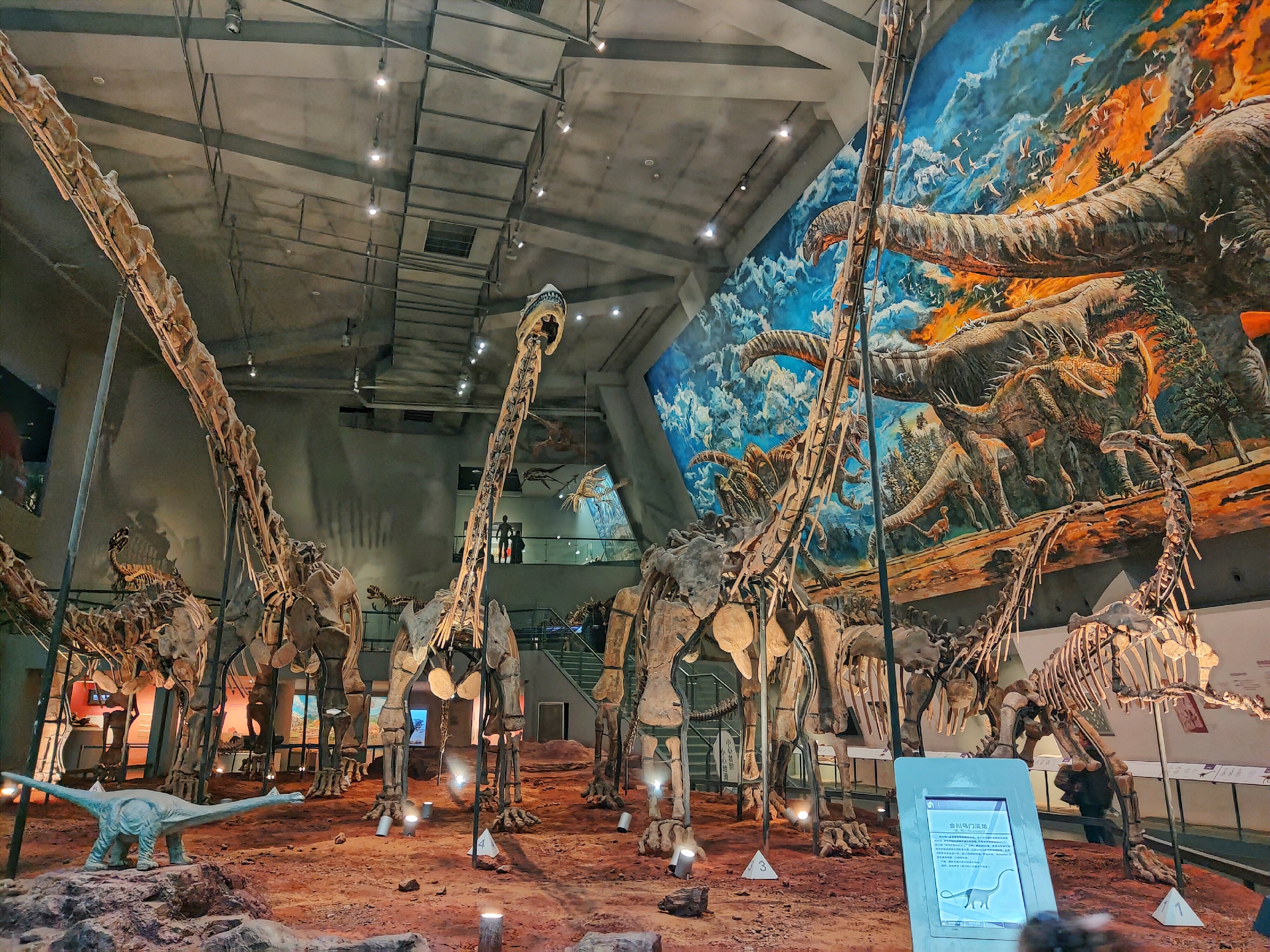 无需门票，就能回到侏罗纪时代！！重庆亲子游去这里~_重庆自然博物馆