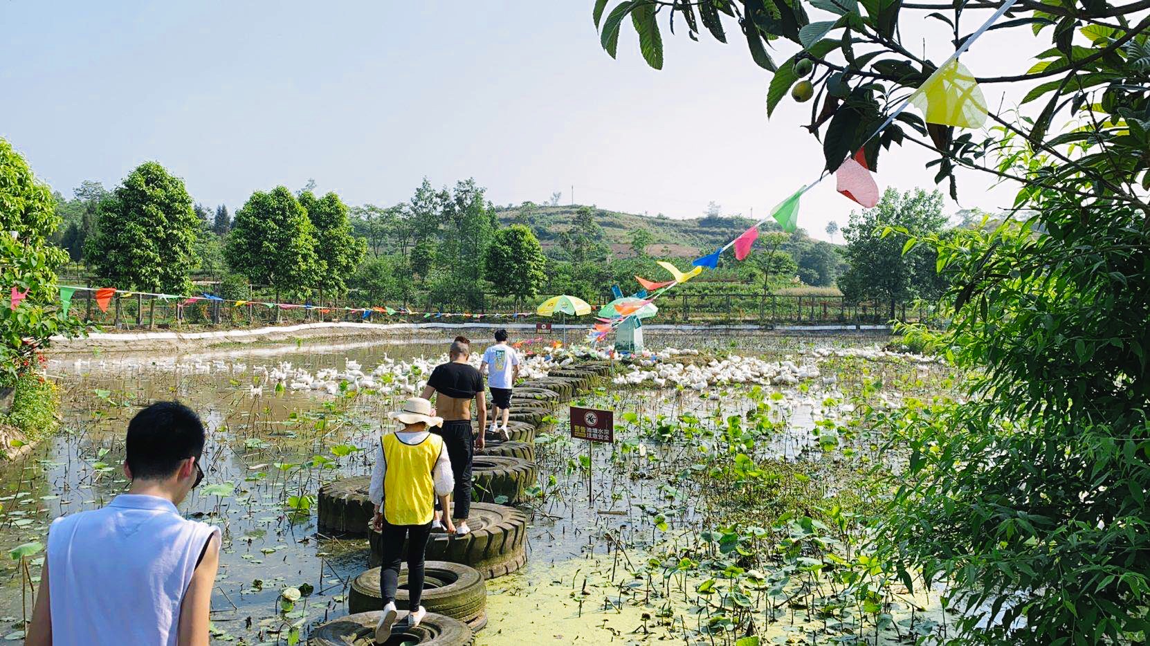 推荐：重庆周边周末游好去处-友军生态园
