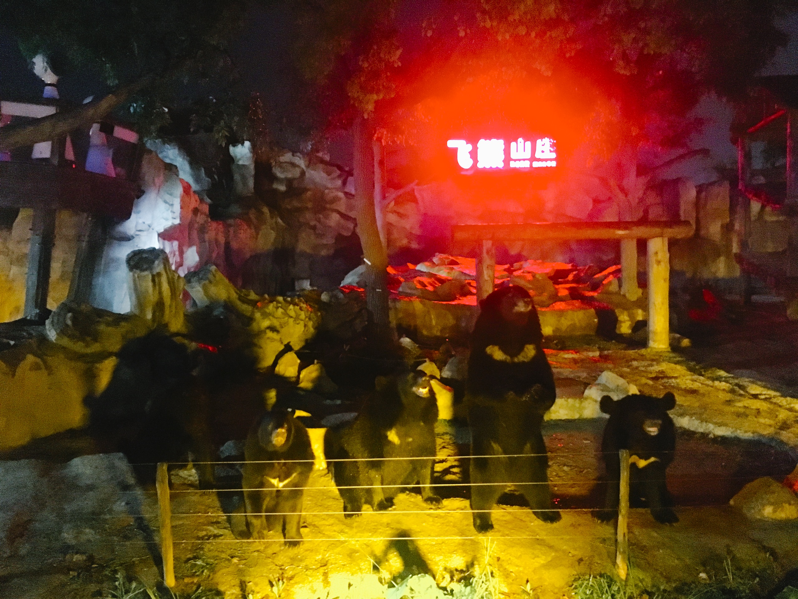 夜幕下的上海野生动物园-这个夏天上海野生动物园也开始运营夜间动物园