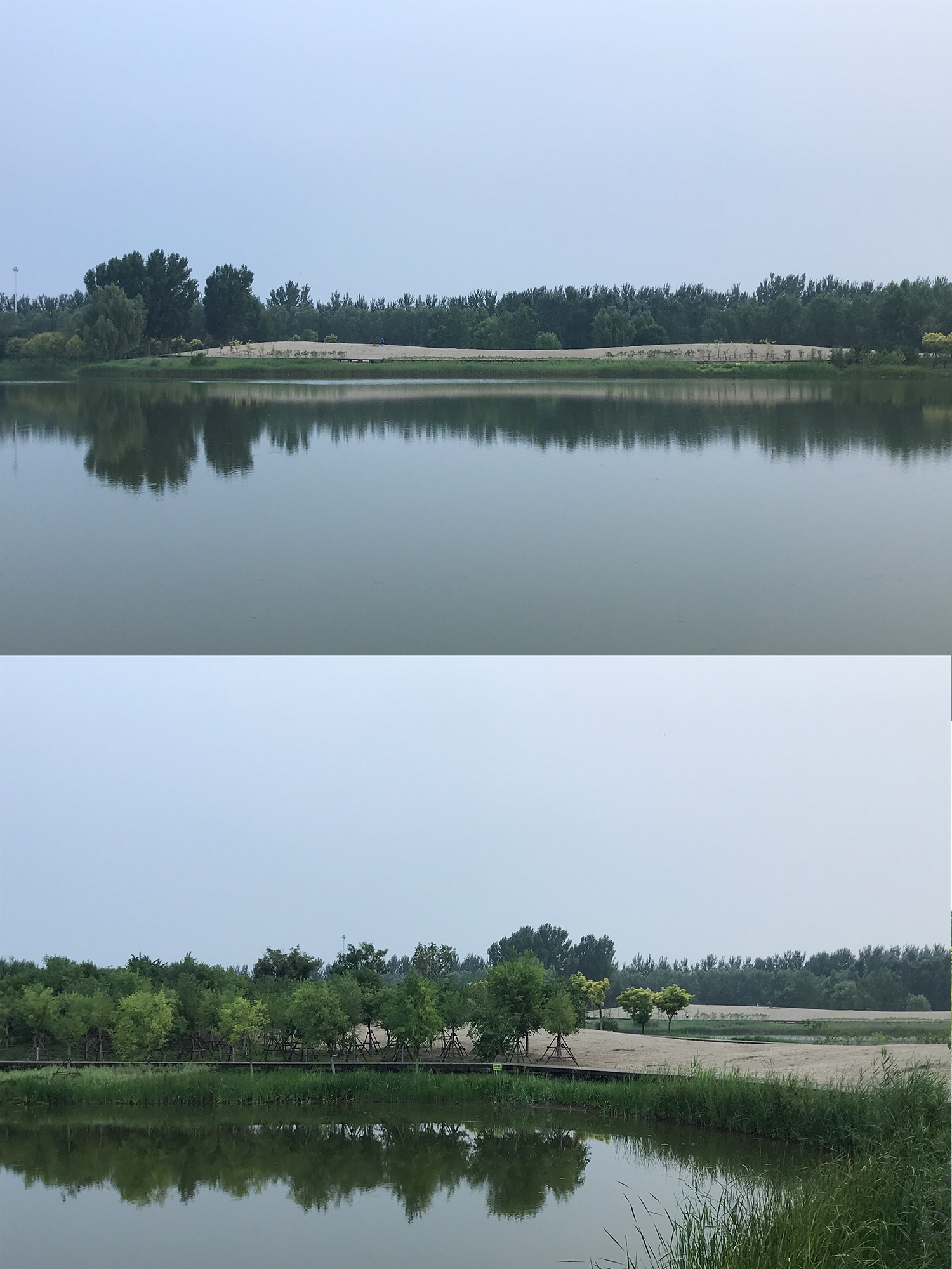 北京东郊森林湿地公园-不会让你失望的周末好去处