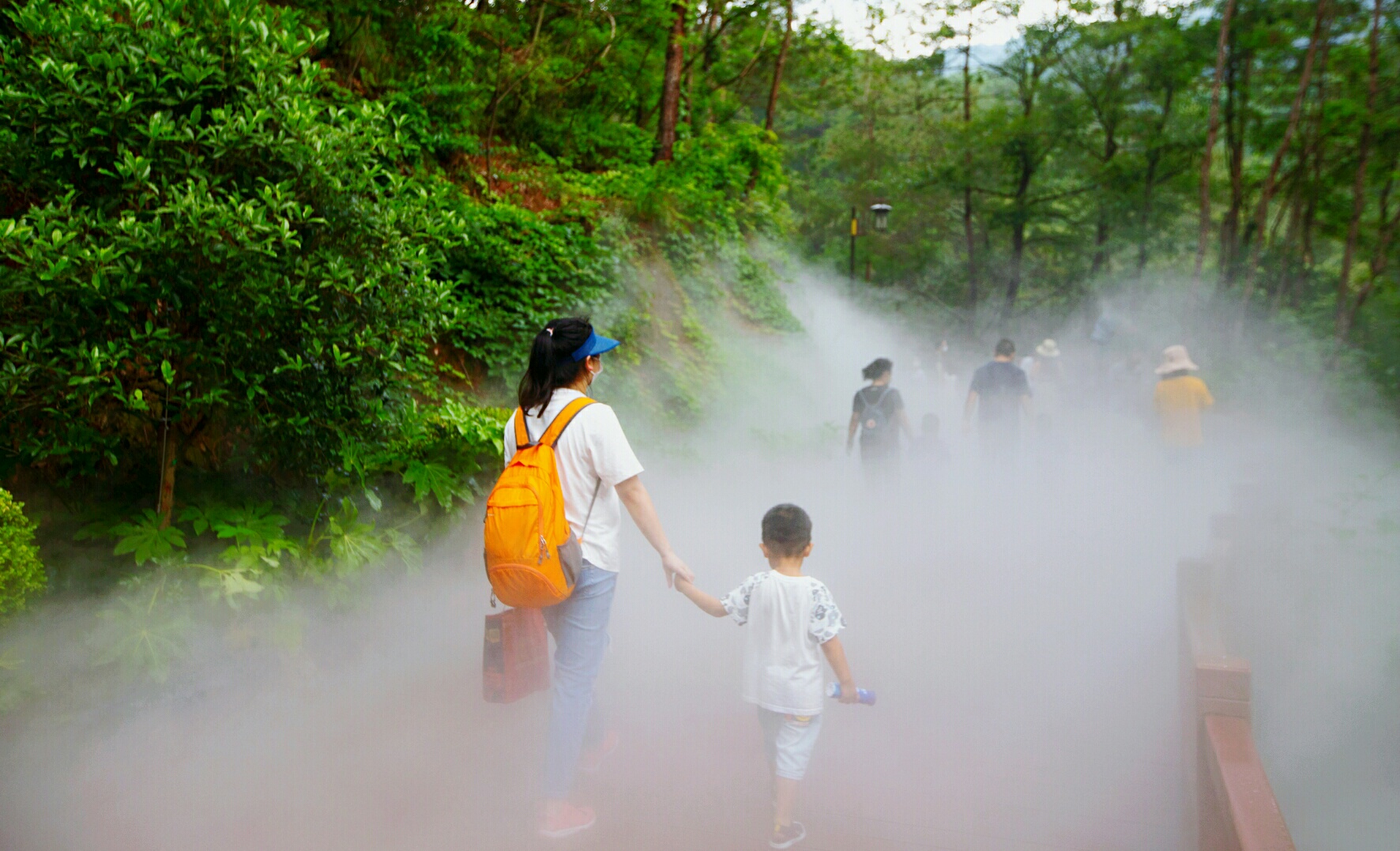 武汉避暑打卡地_到木兰天池寻觅迷雾森林、坐缆车、玻璃漂流