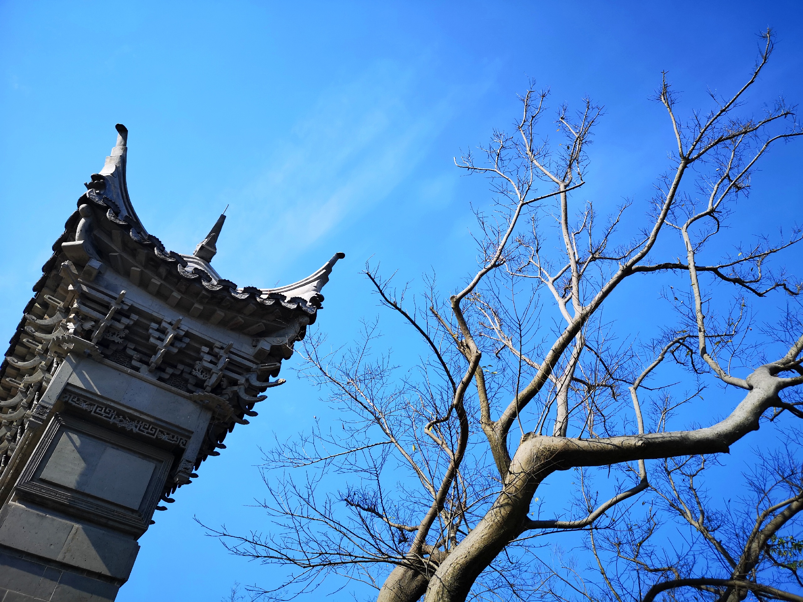 上海周边拍照胜地！广富林文化遗址的初冬