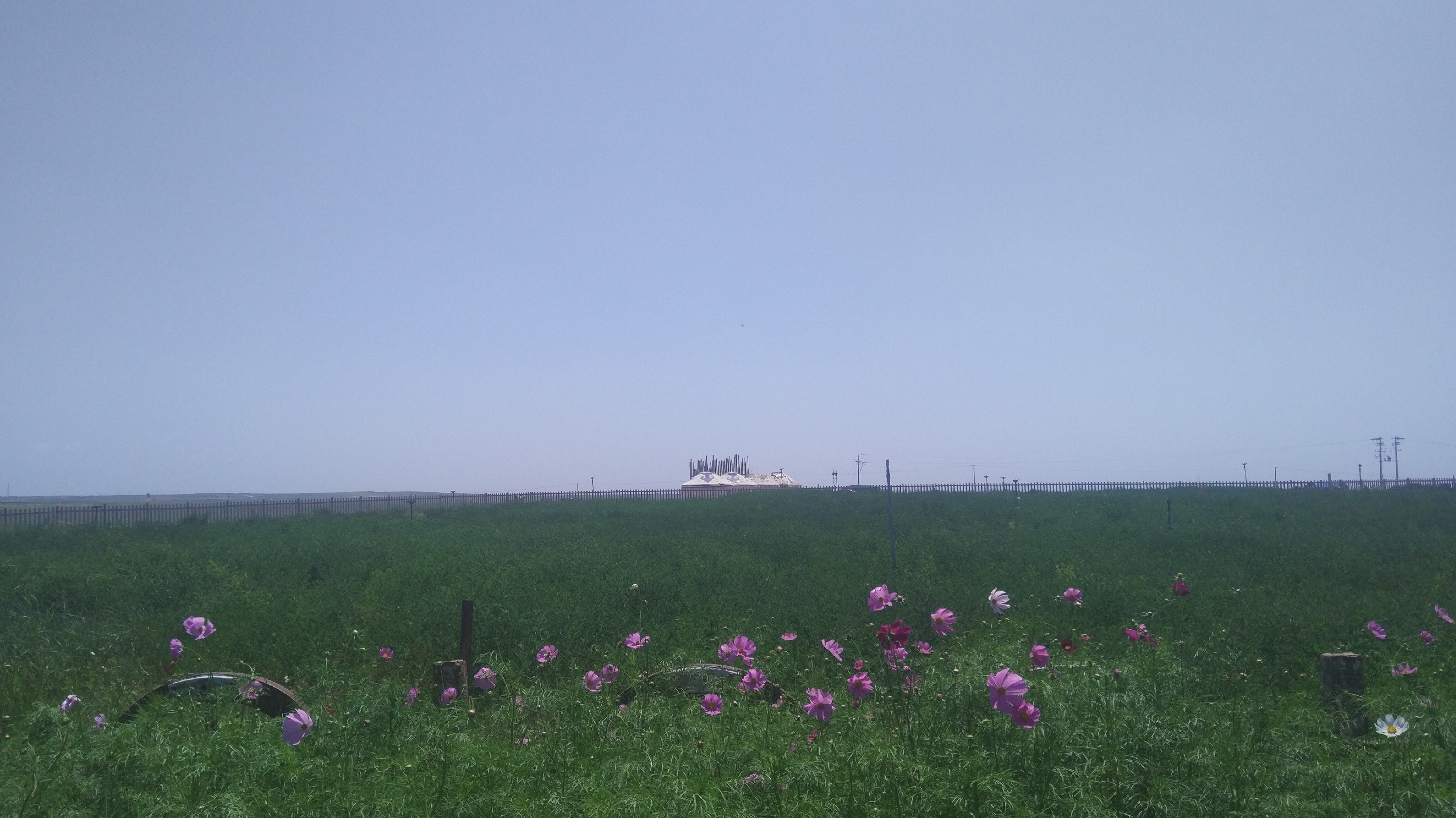 鄂尔多斯草原-鄂尔多斯草原好玩吗？2020最新鄂尔多斯草原旅游区图片