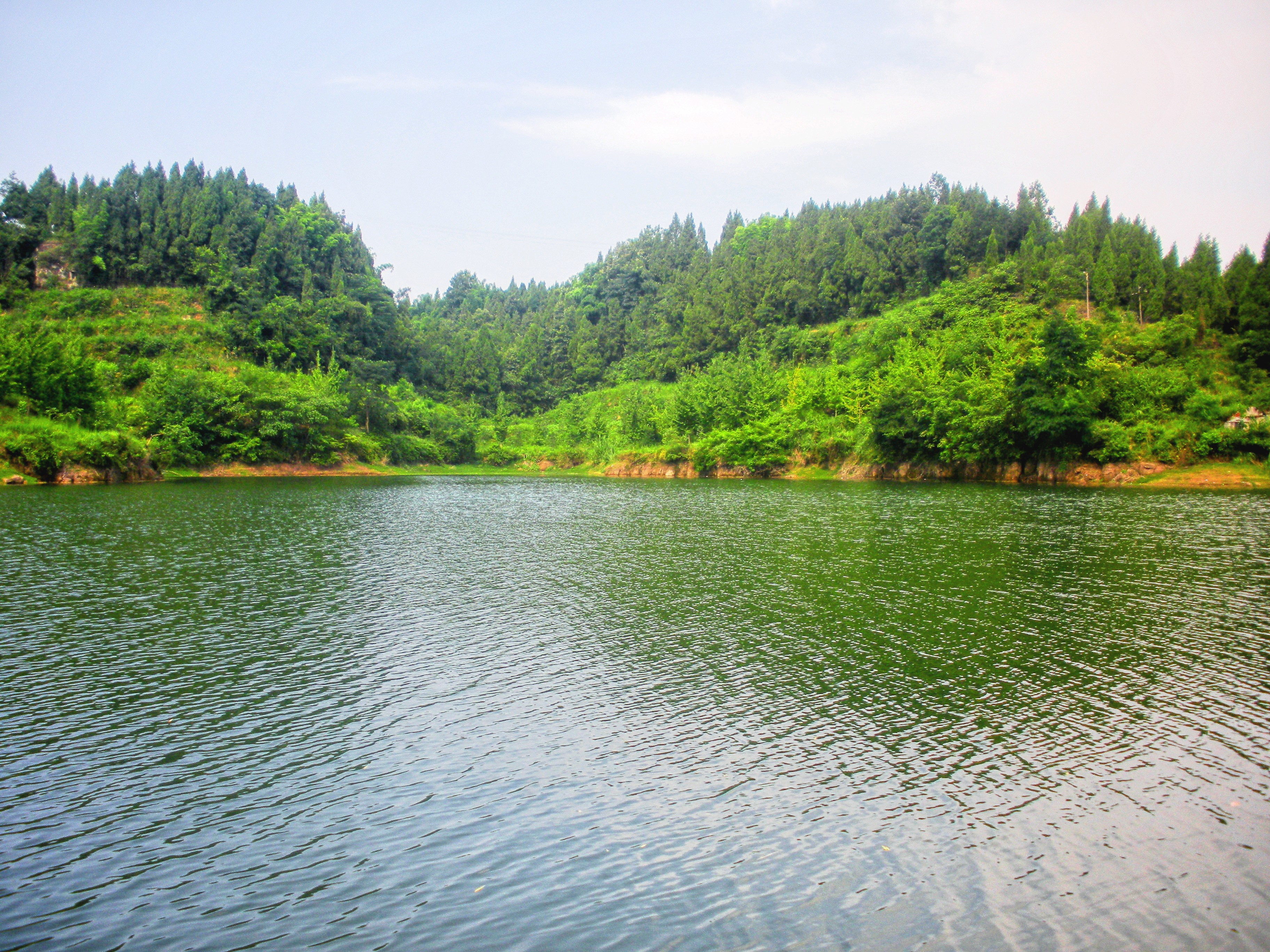 賨人谷景区，国家AAAA级旅游区，四川省省级风景名胜区，省级森林公园