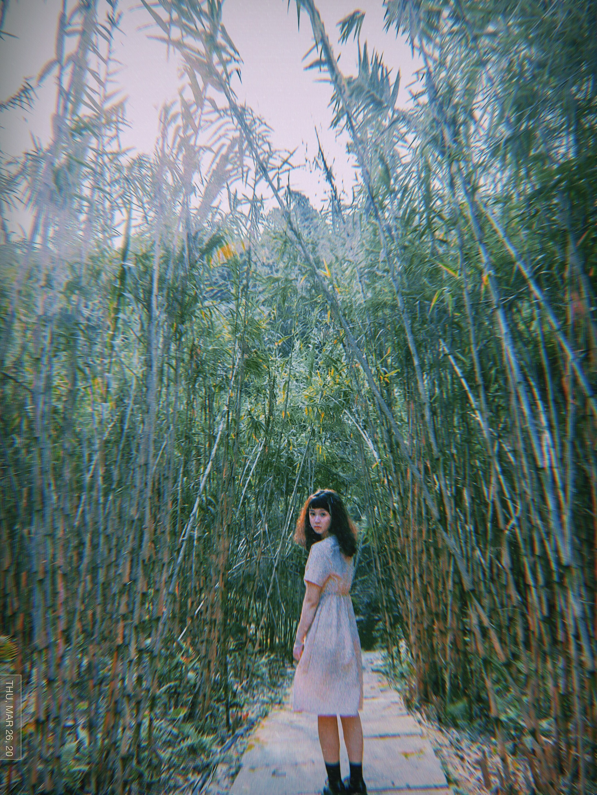 重庆小众拍照主城里藏了一个小森林_重庆园博园
