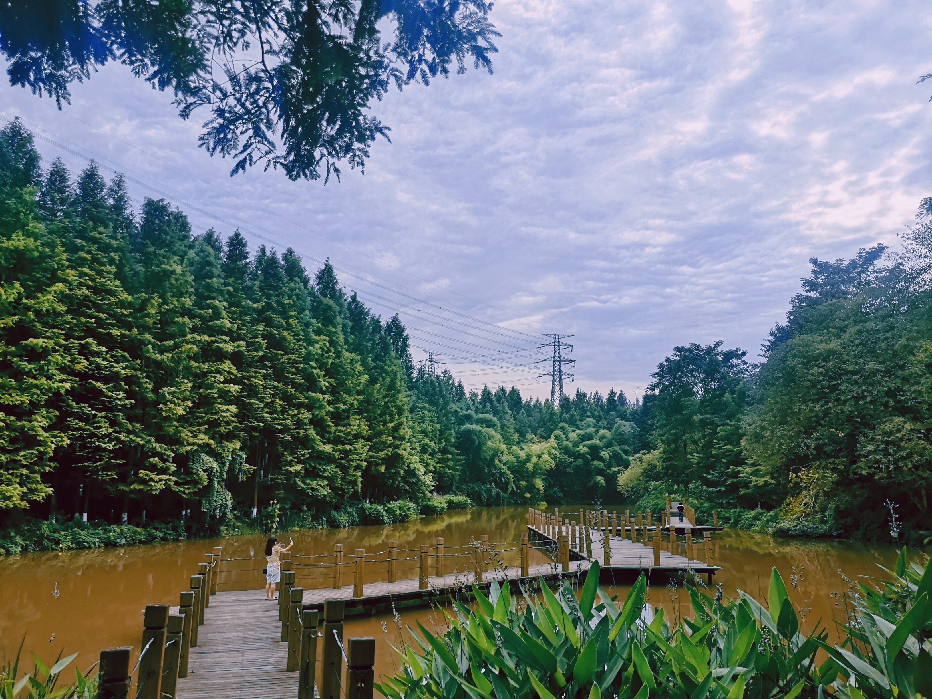 在重庆城市中寻一片宁静——九曲河湿地公园